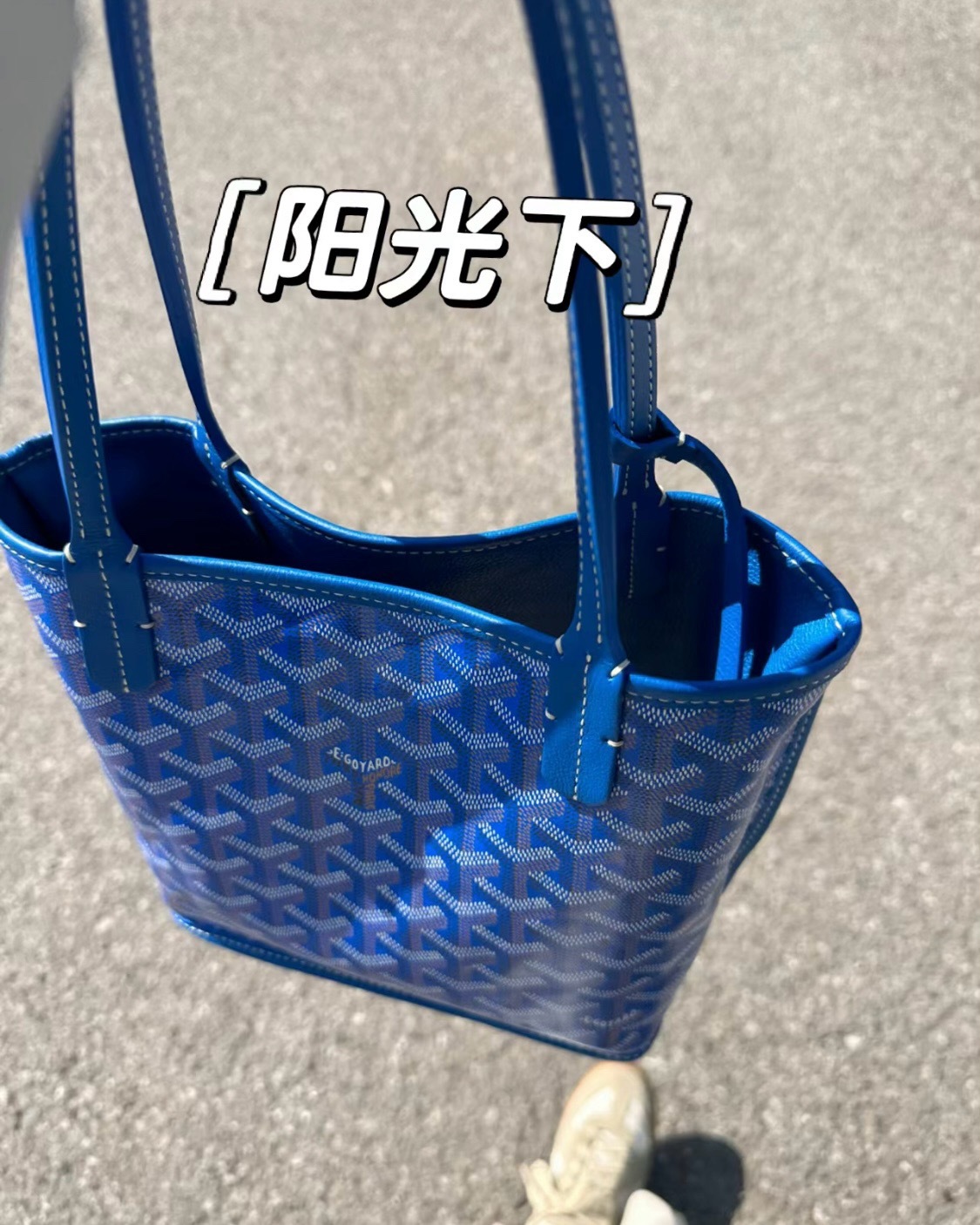 image_56344C9B-C00A-4292-8F6B-5CF06CB876A9_1746803039