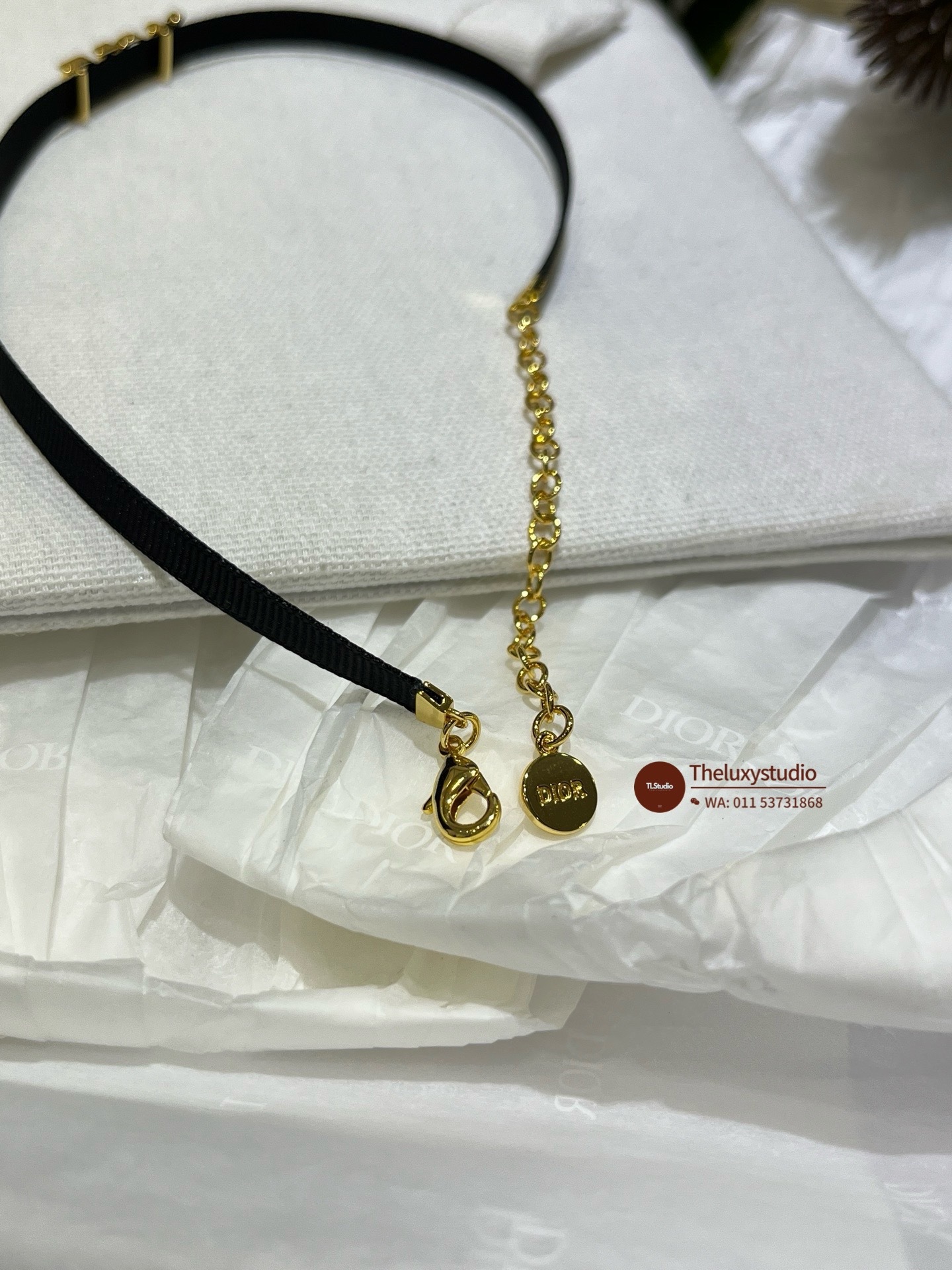 image_C134EB2C-8704-4865-A417-D16CE3E5AE7D_1748010076