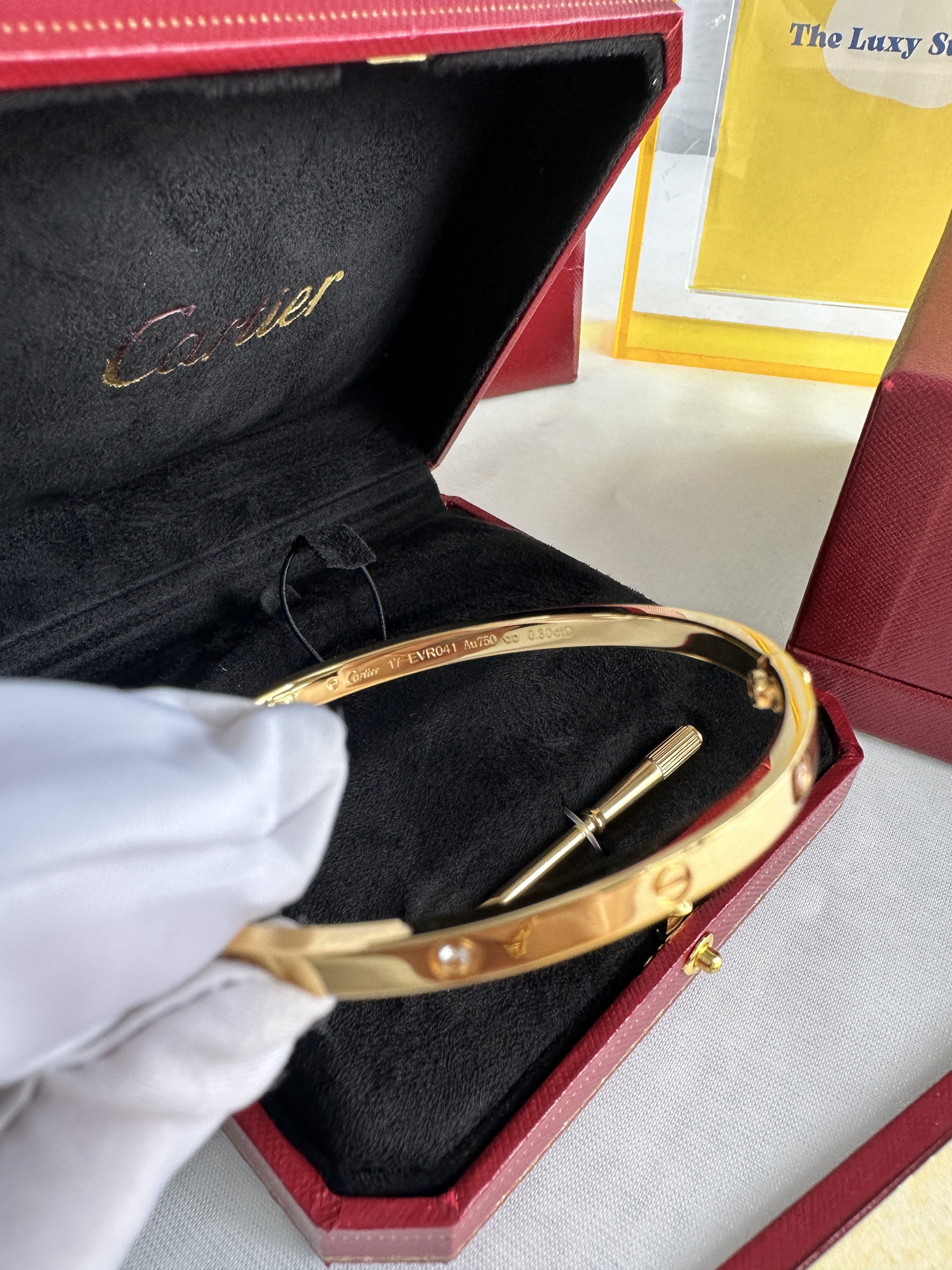 image_123760E7-CB25-431B-AA0F-C1F783A0E404_1750337577