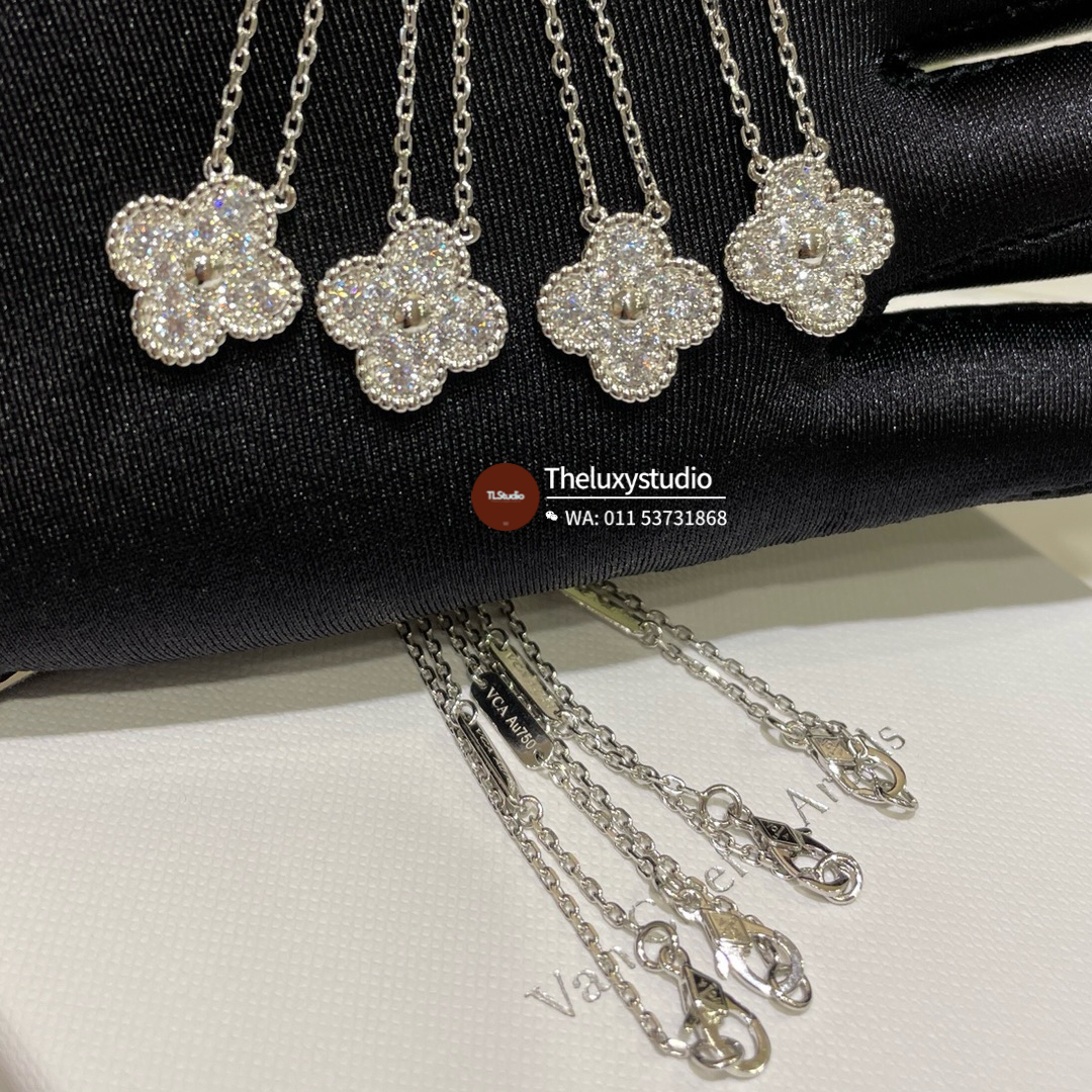 image_92E84FA0-0476-450C-8F53-D42531BC12D2_1756206494