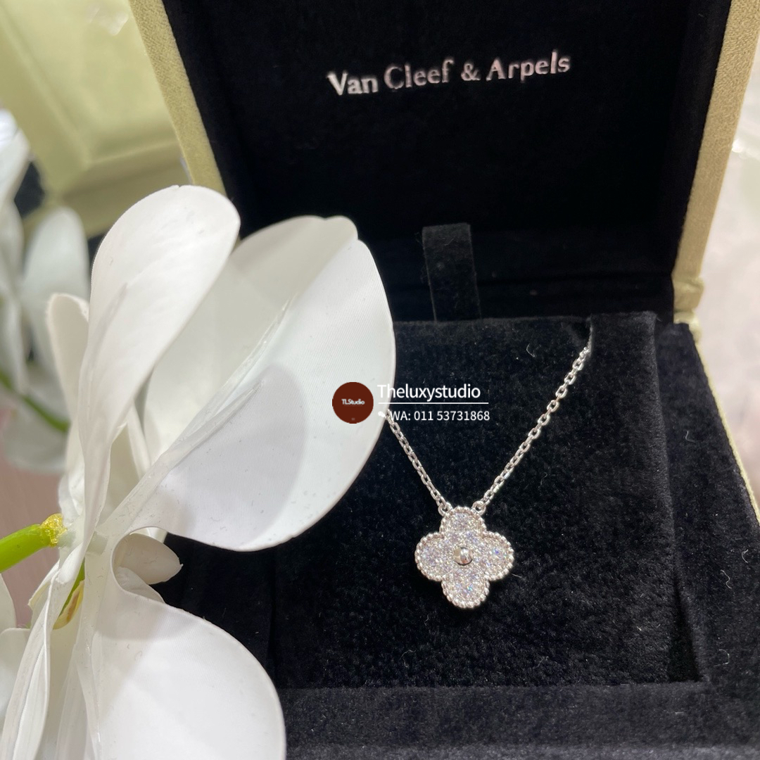 image_34D704BF-9C18-4C25-9CE2-788D470D7477_1756206494