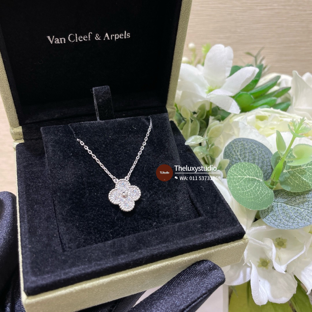 image_5AABA69E-F7B6-4956-AF6B-67FF1B0CDCF2_1756206494