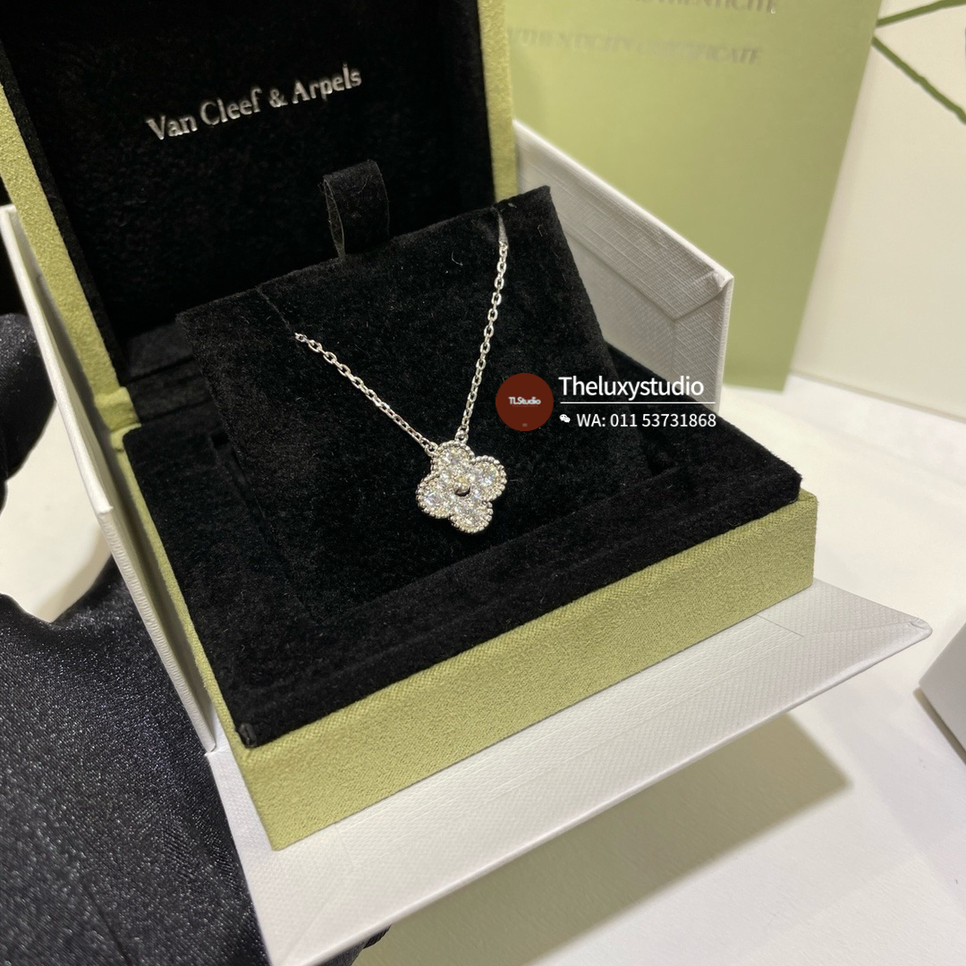 image_FB825B89-1929-4720-AD00-436F546D3520_1756206494