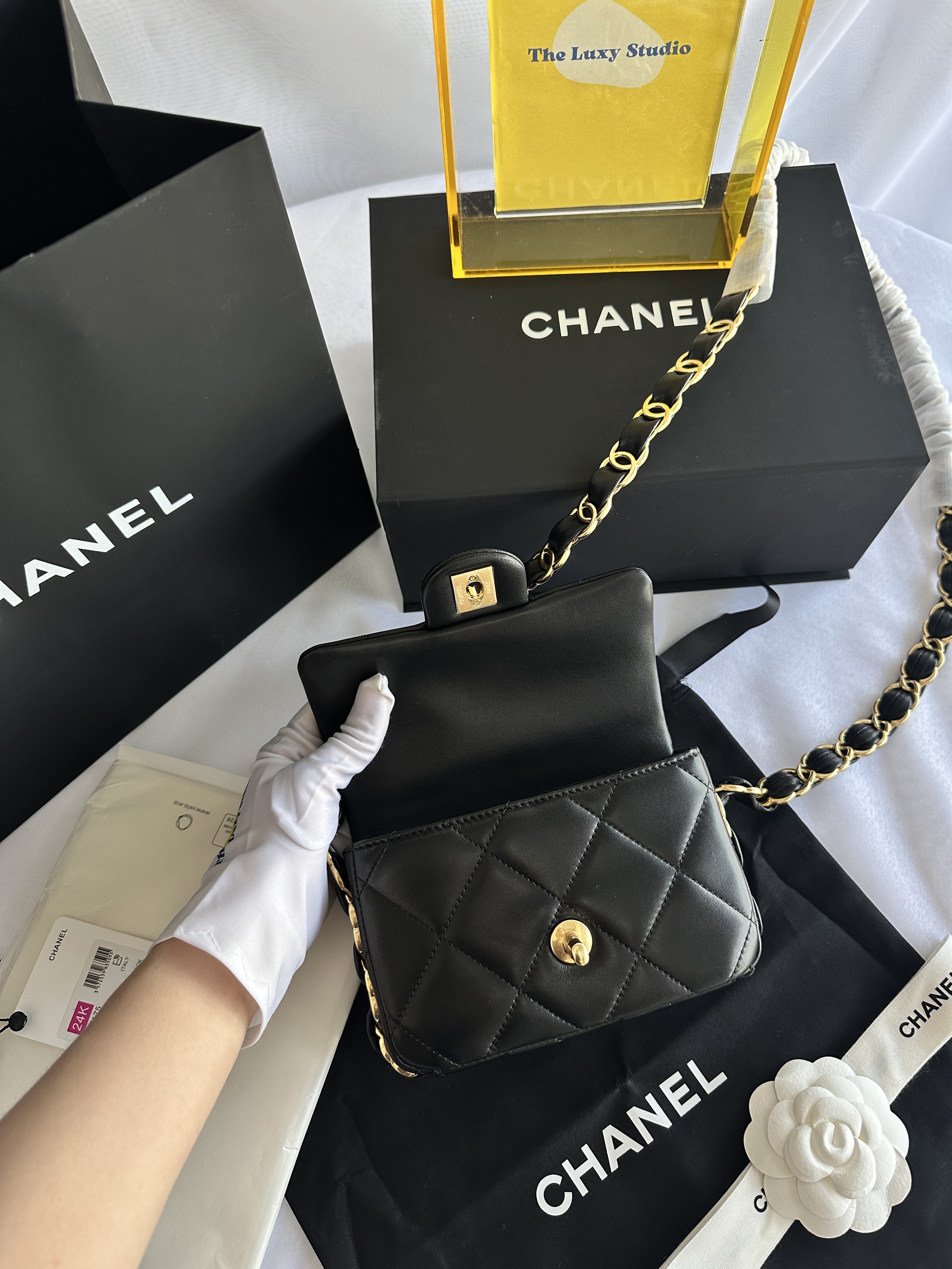 image_6C6F7D1F-9A8F-44C0-9066-B1A62EB432E1_1756393457