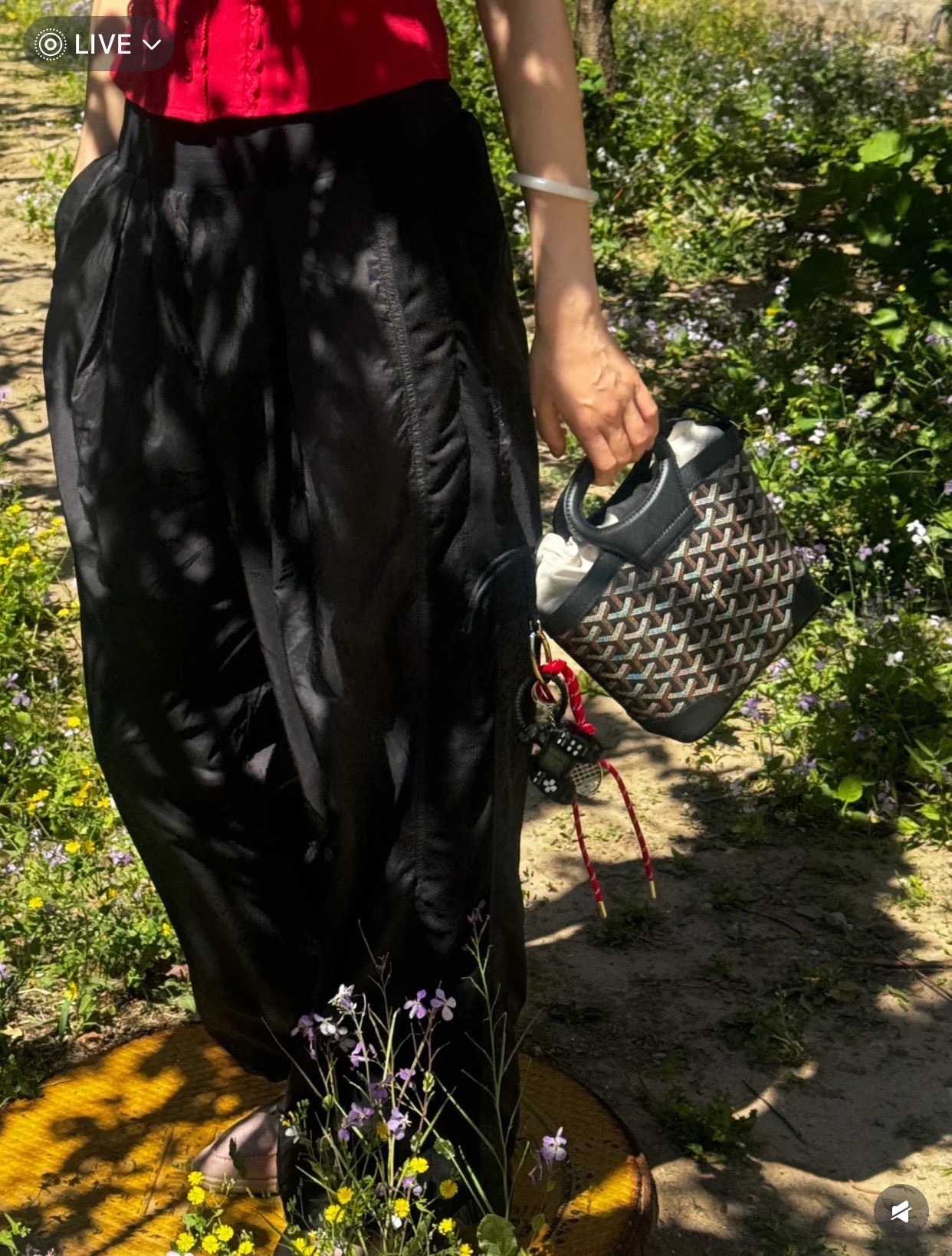 image_F6467782-41BD-4D67-A1AB-85257E8F66DE_1757489877