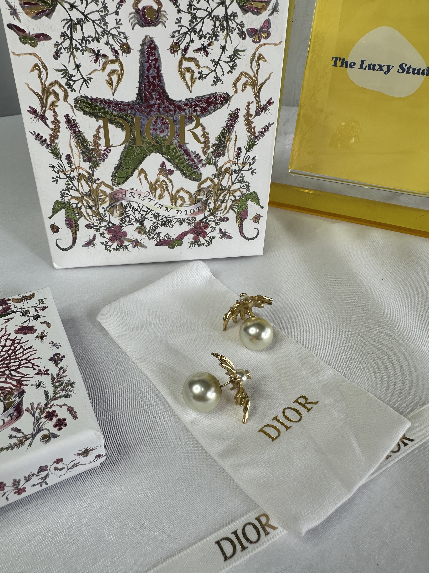 image_4285247A-5FA6-46EF-8B35-5084656DAD15_1759413845