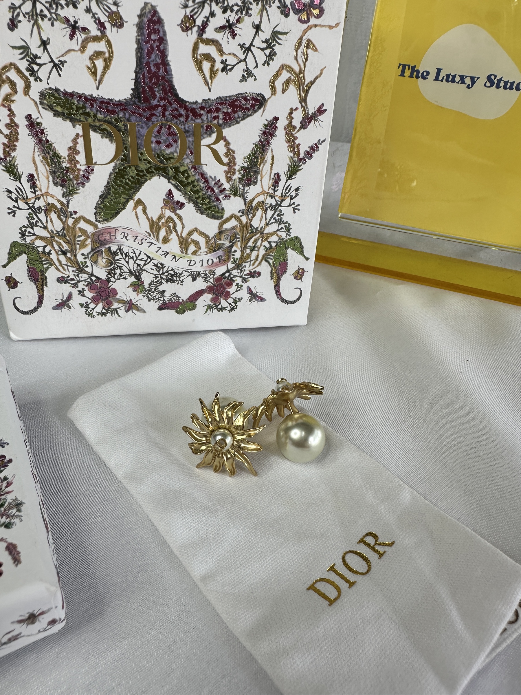 image_B89DB712-B2A5-48B6-B362-413A9C088C33_1759413845