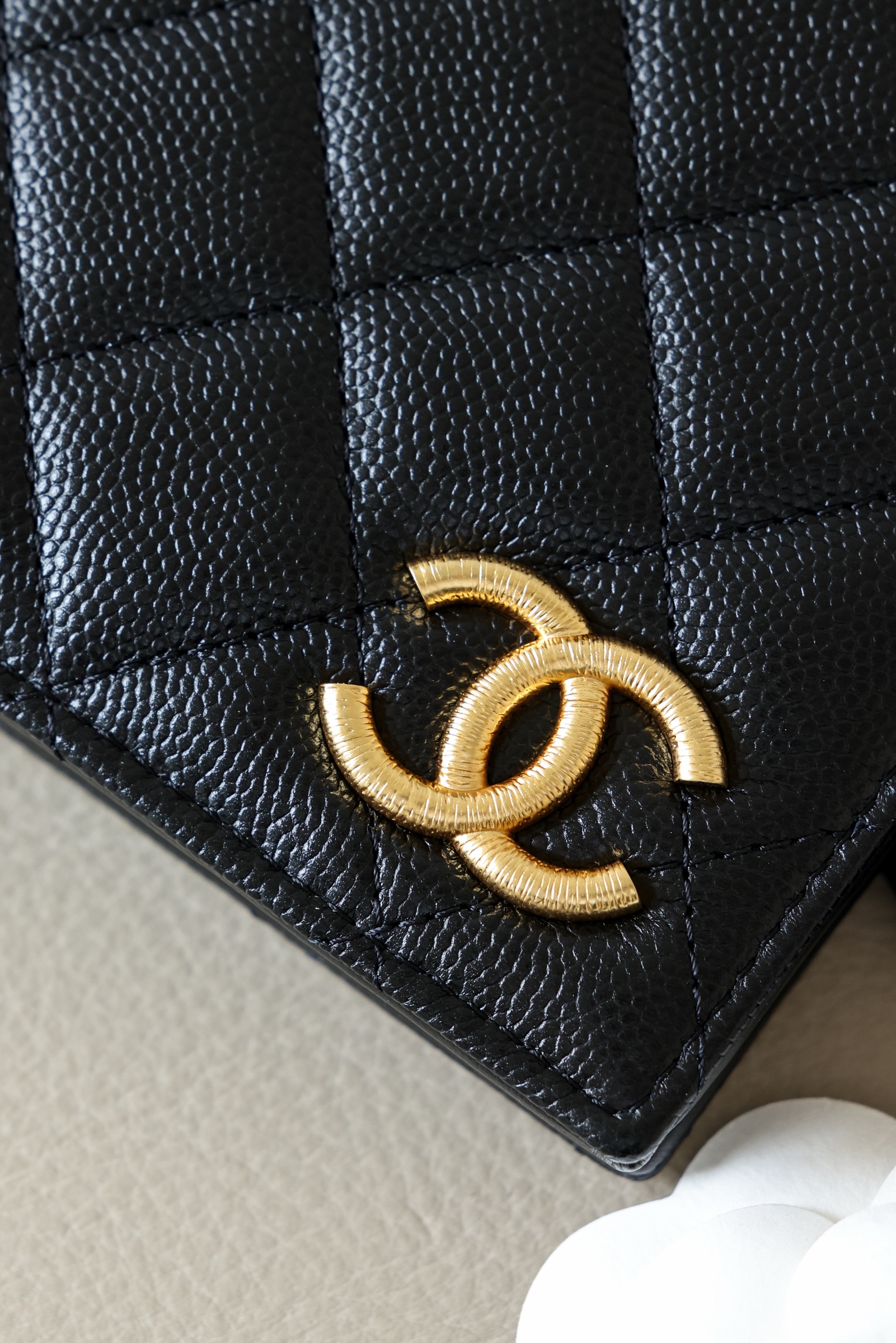 image_C463E389-B85D-44B7-B1B9-33A4D70B8B68_1759464742