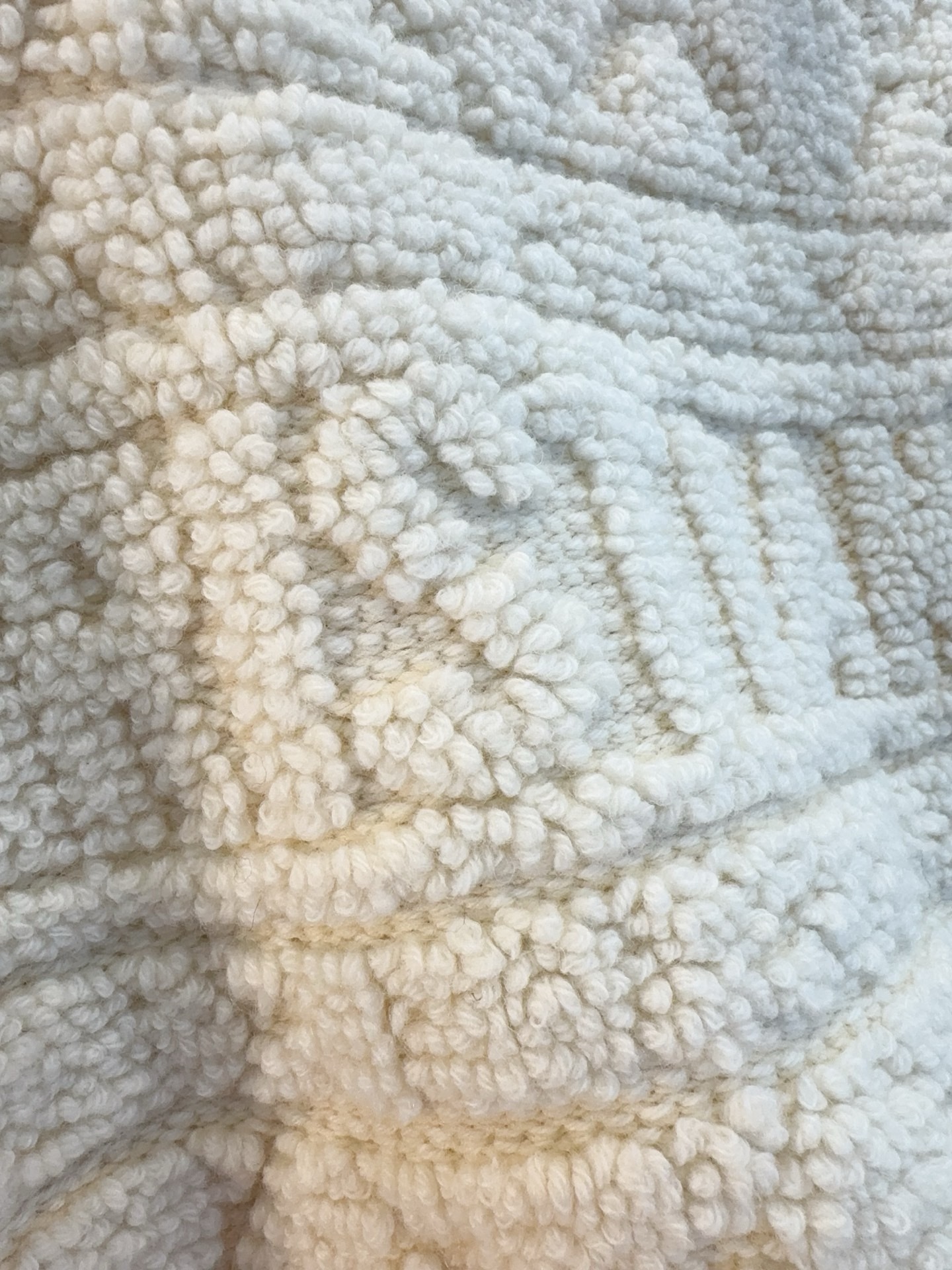 image_ECA7E11E-19F8-464D-93A0-B8B6BF4ED1C4_1762245054