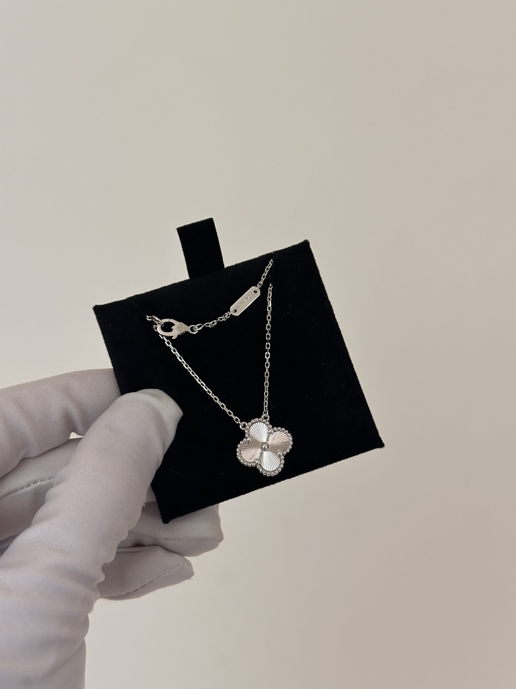 image_814C5D2A-8FF0-44FF-B895-F5DDF5662E08_1763707258