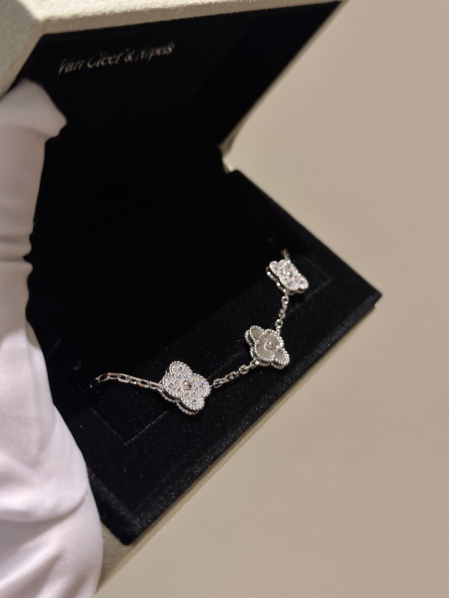 image_B239F095-453B-4EFF-B6F1-C8B4CA5815BC_1763709446