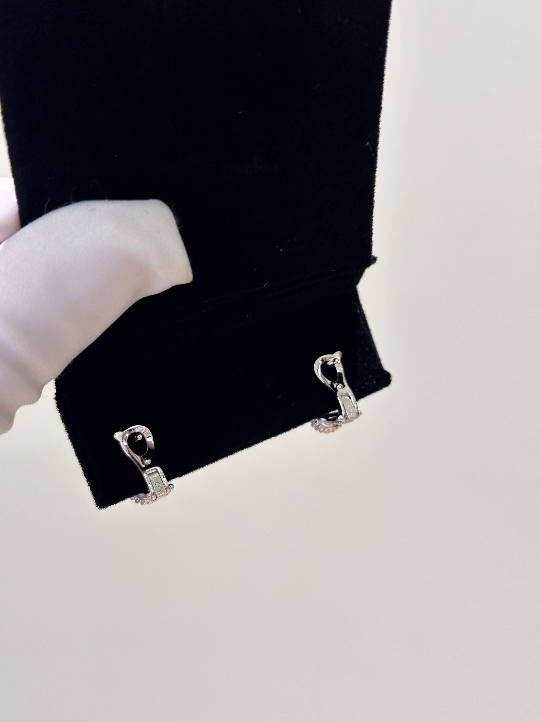 image_962829B9-92E4-4A82-BCA2-1CFAC079805F_1763709731