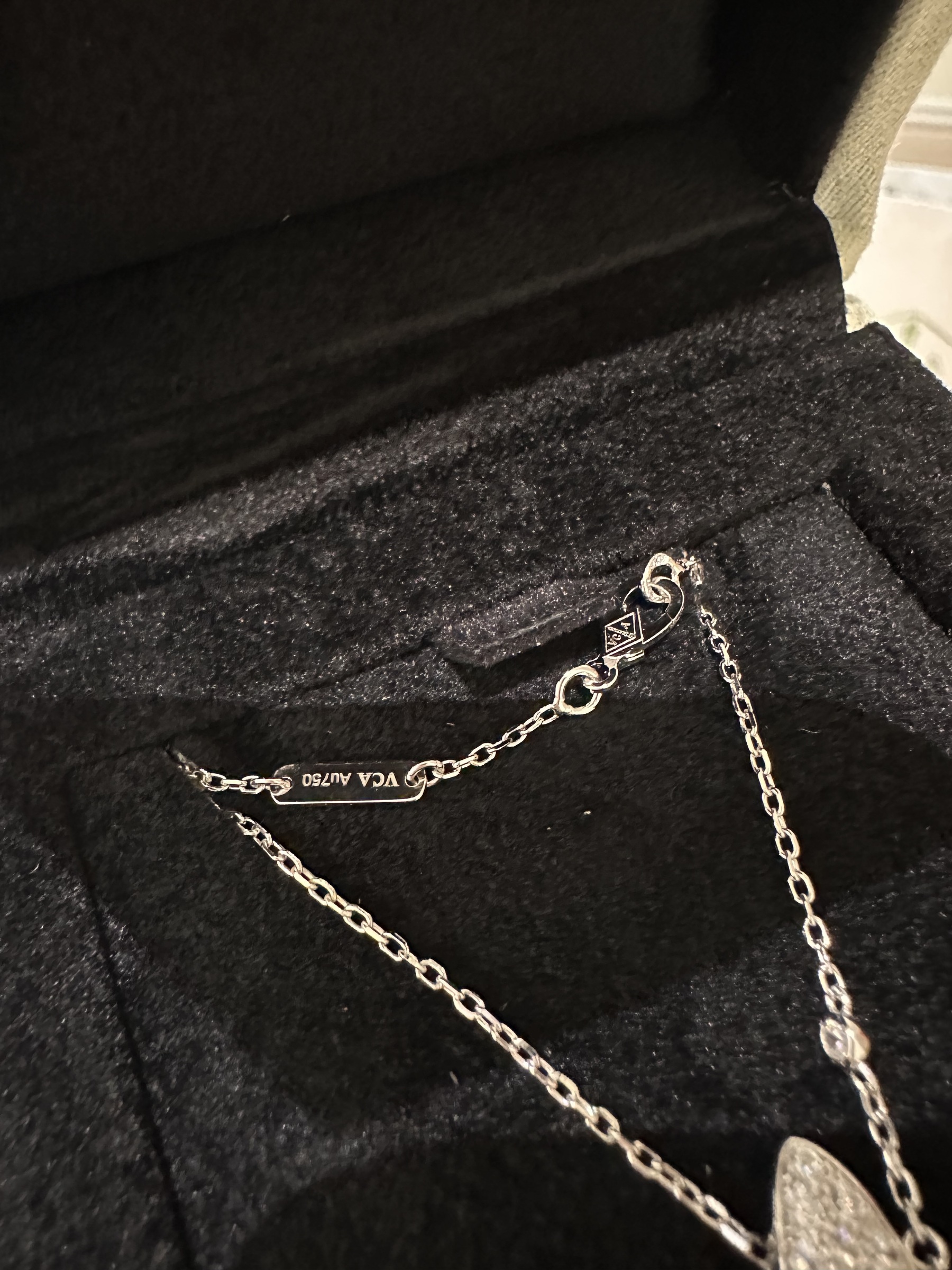 image_0B6B0EFC-F393-4C7A-9D4C-01D479E2ACA2_1763710289