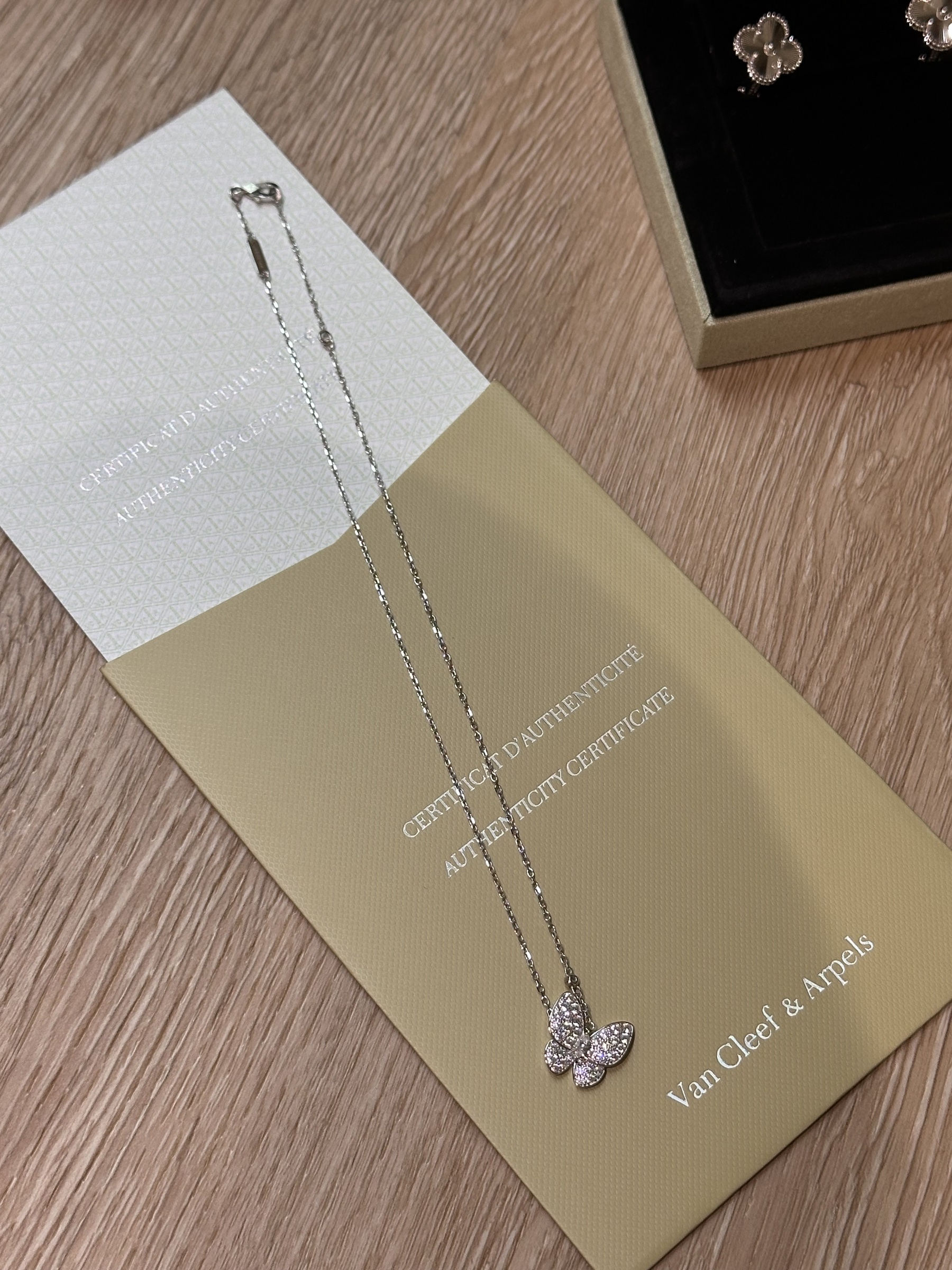 image_E2463B91-228C-4990-A093-A3486BF0A5F6_1763710289