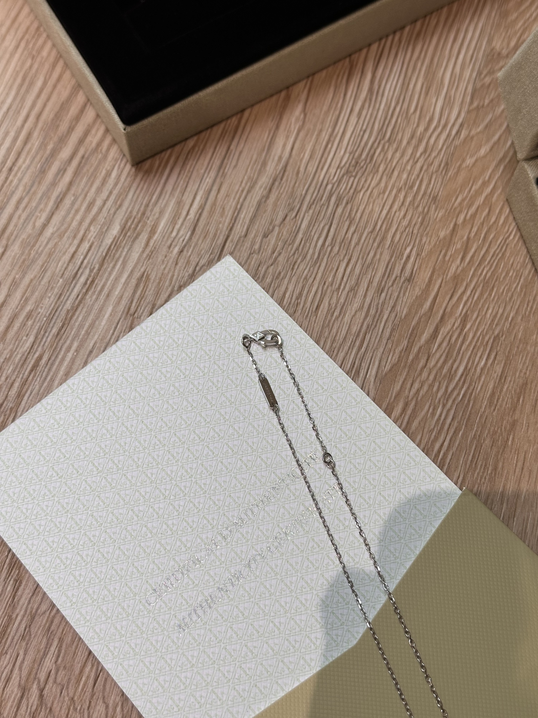 image_0E117076-90C6-4083-9C52-7025C4164CC6_1763710289