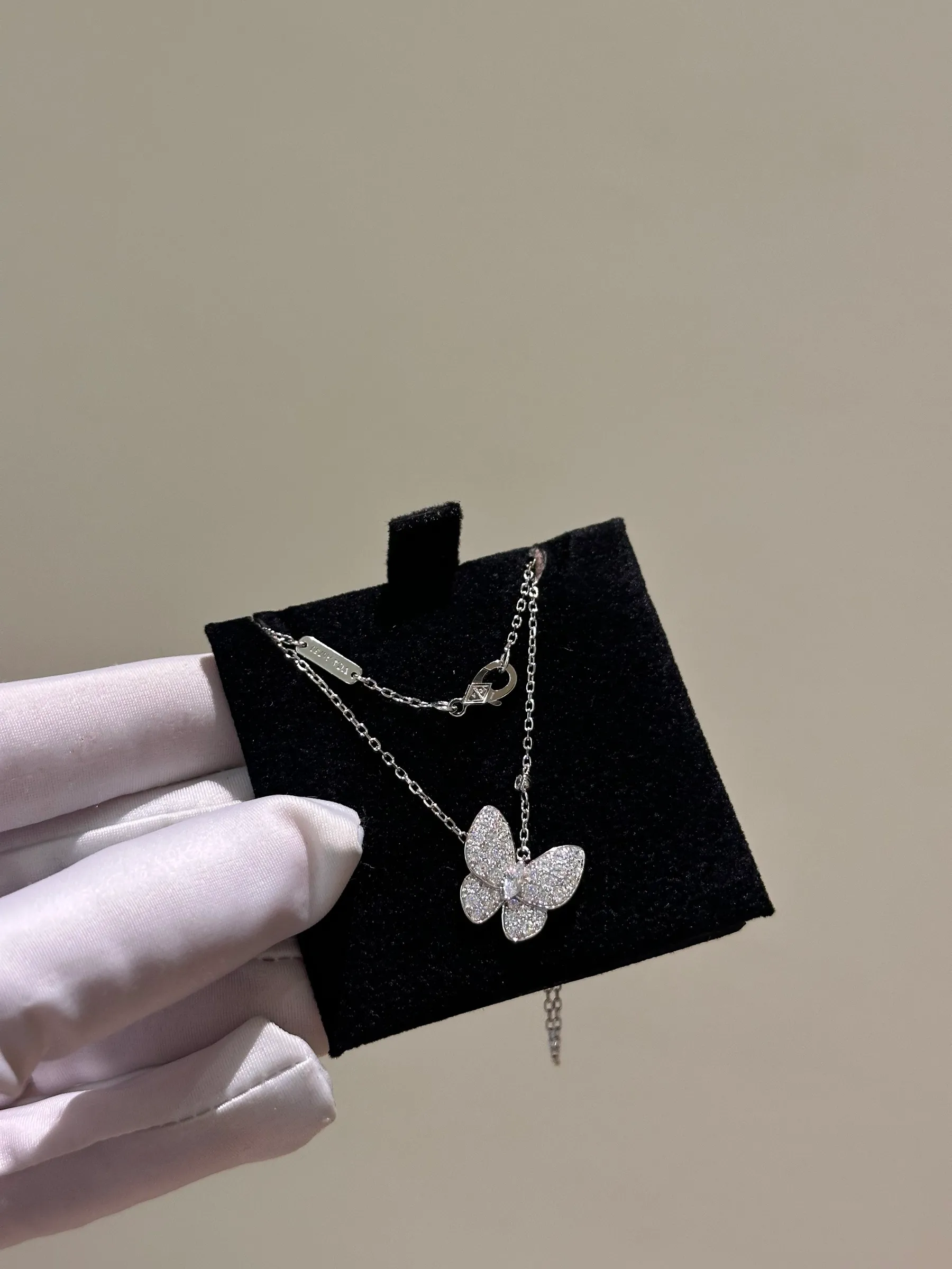 image_A3A89927-9585-4C5C-9CC0-BBCDE8C2C72F_1763710289