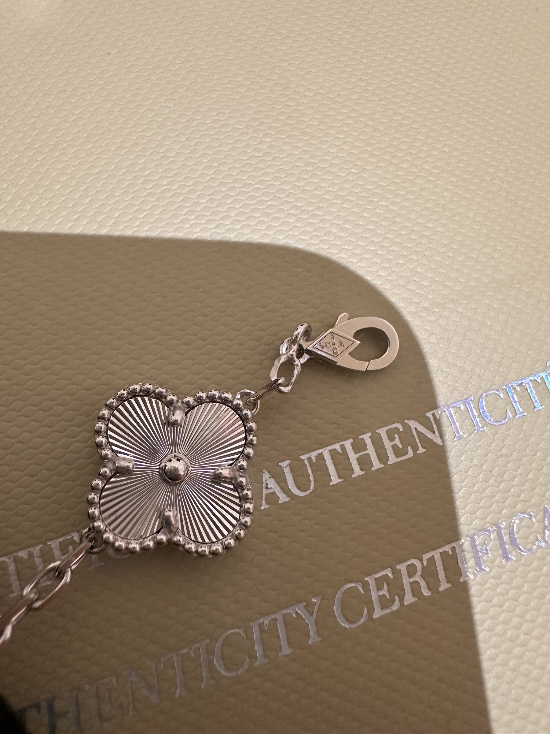 image_61B57A56-78AB-4947-A035-2E0DD1218F42_1763712314