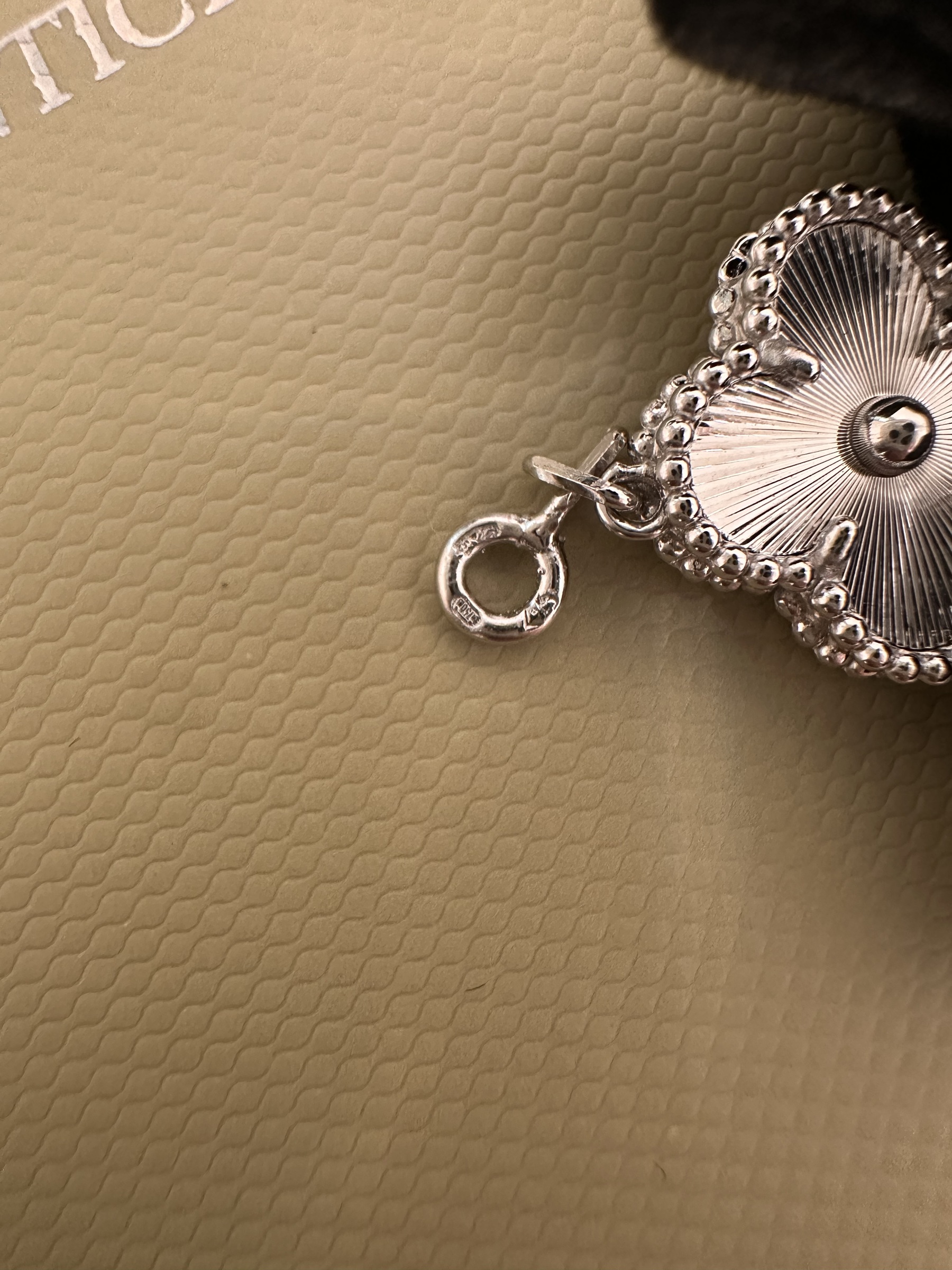 image_A1AF2DA3-7FC8-4AED-8276-832A2BAB1AAC_1763712314