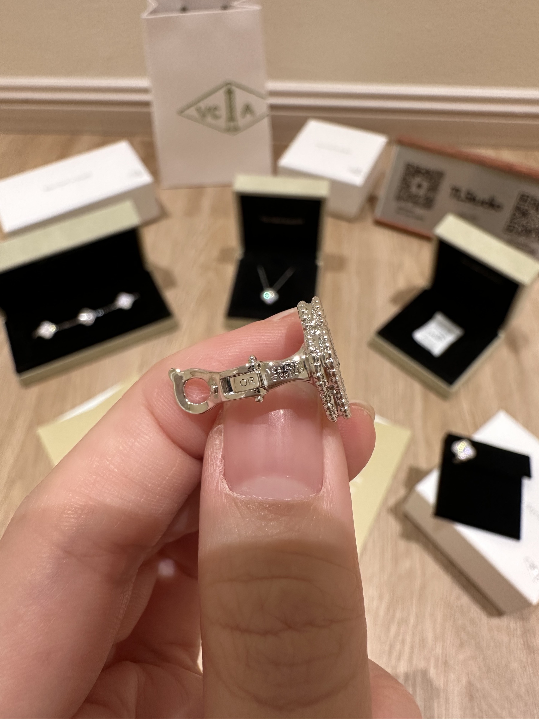 image_072907D2-19F9-4082-BDE2-D1F85AD5B223_1763712314