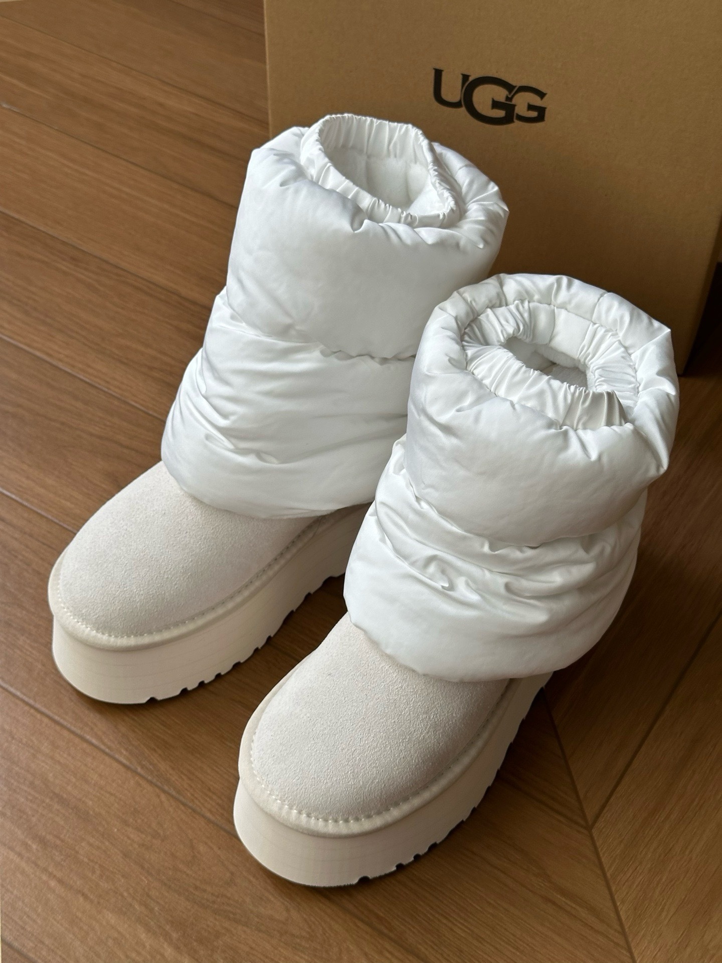 image_8D6C9953-5958-4EFE-B2F3-46A83EDFA277_1764740773