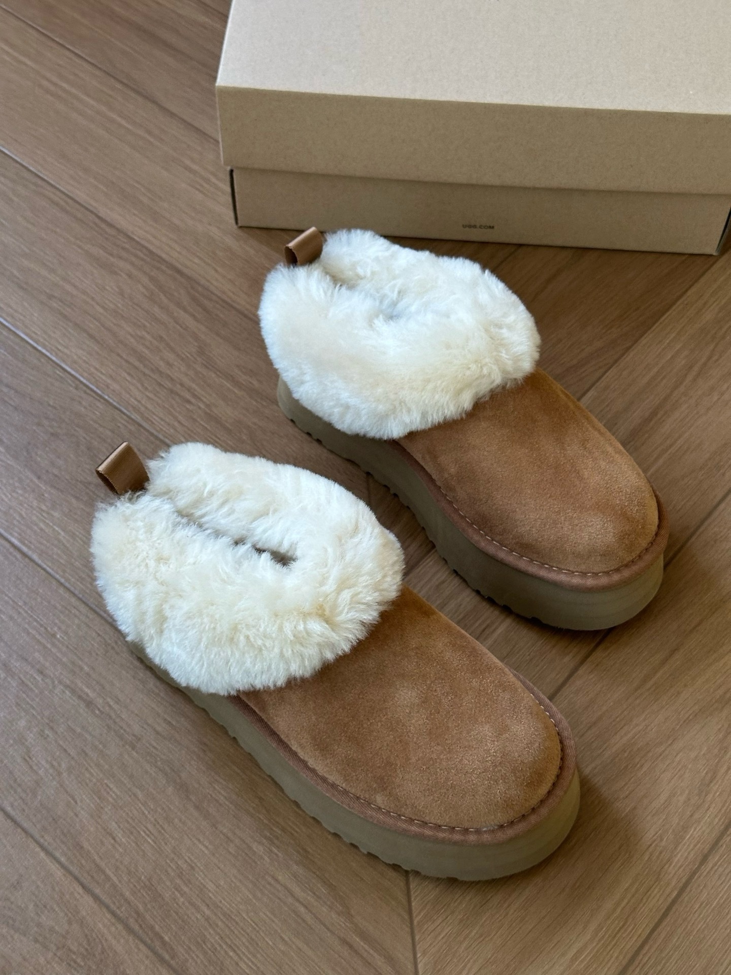 image_77FEC6D4-D0C8-494E-8FFE-CA62E3FFAFBD_1764741601