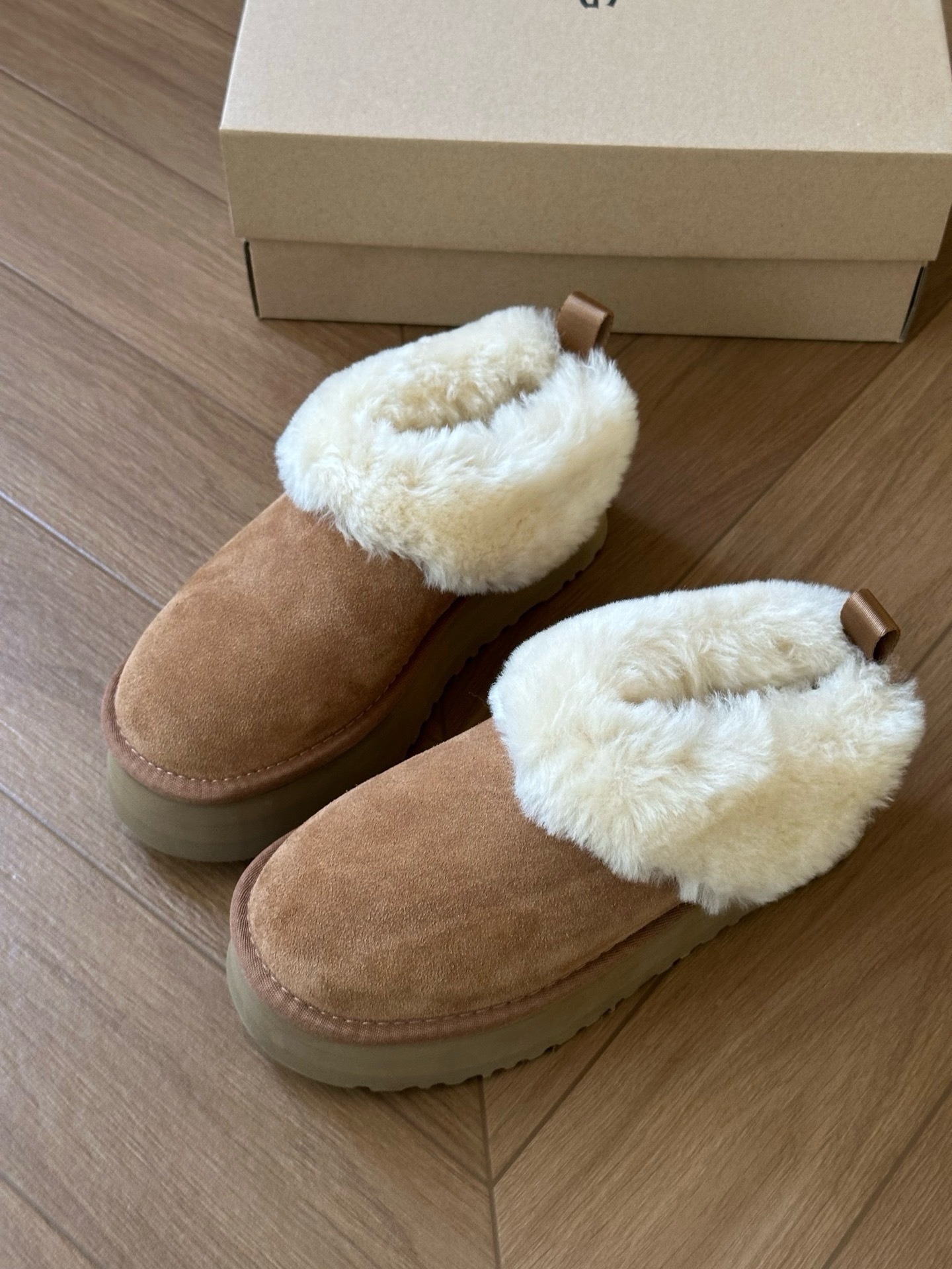 image_9D3F0A5B-63C5-4F07-BAF2-47E698277816_1764741601