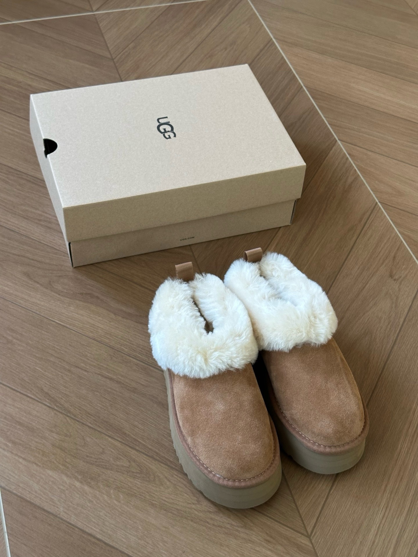 image_802A8D81-164B-472B-AEAD-F6E5A6339119_1764741601