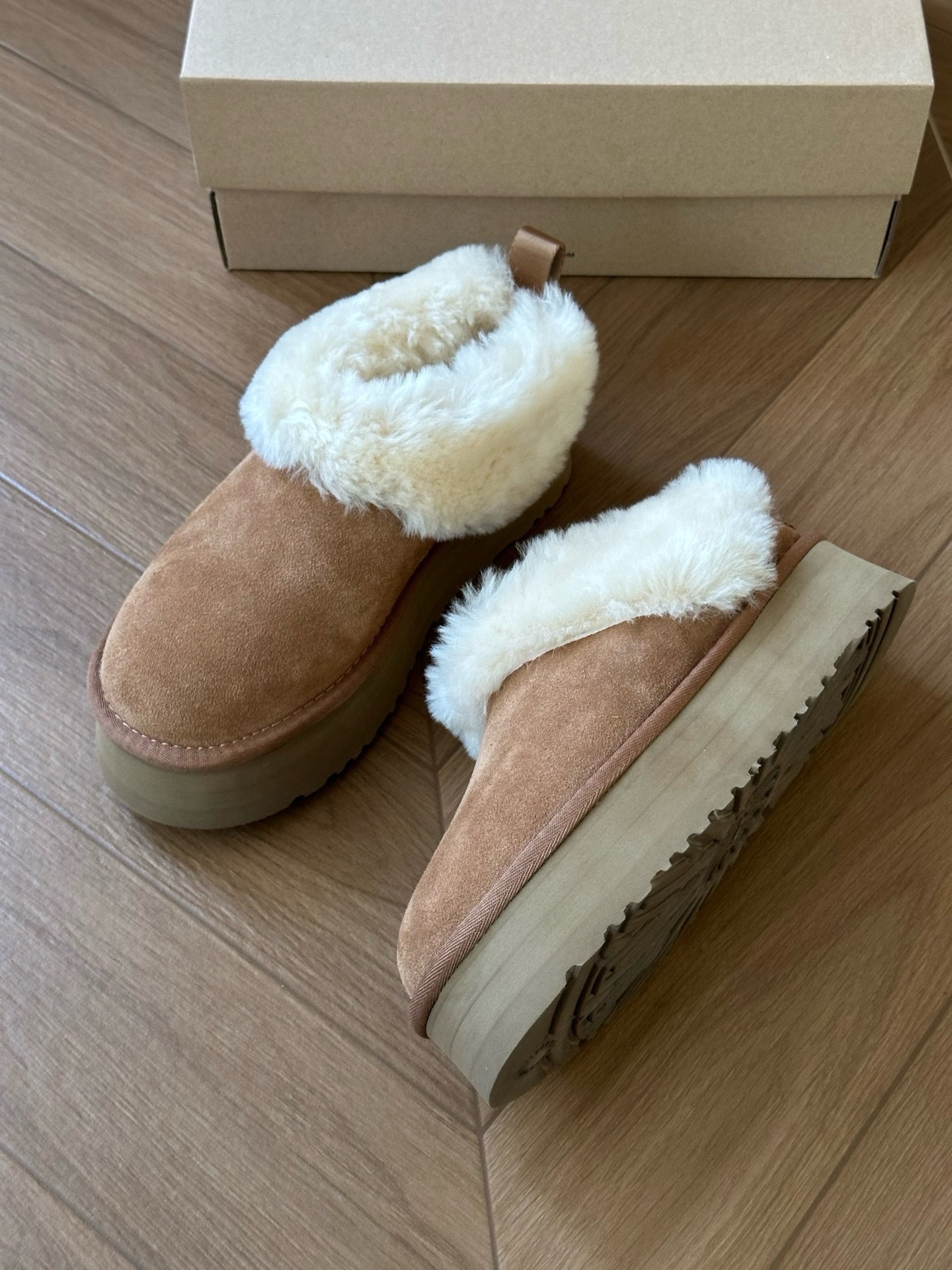 image_2AF3856C-B578-4B79-83F4-B0279D4A4AB4_1764741601