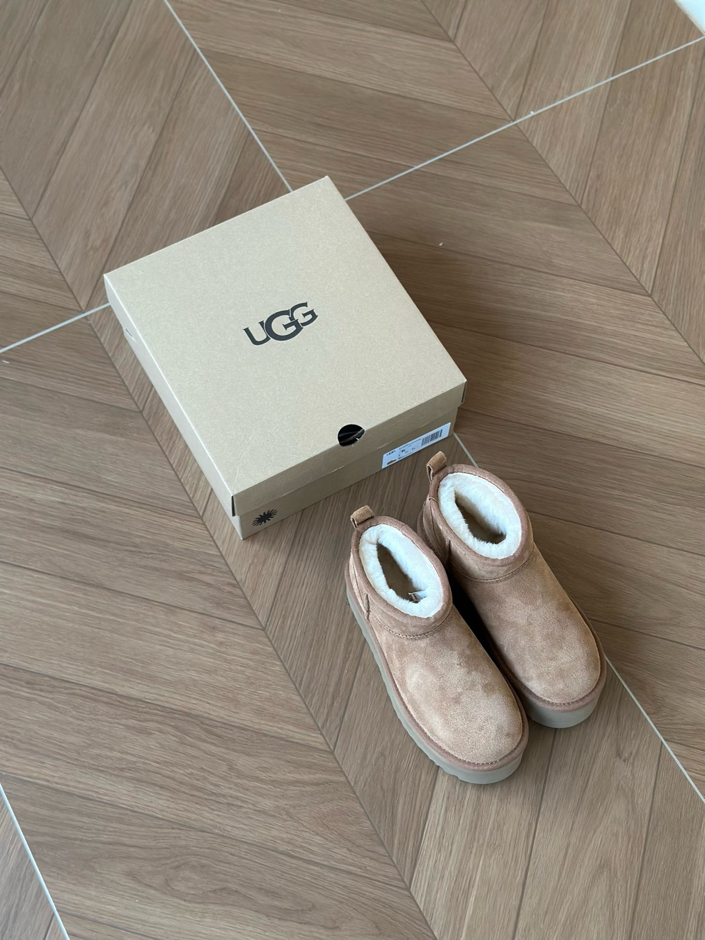 image_BF8AFC0A-5145-4098-A348-24487800E67B_1764742447