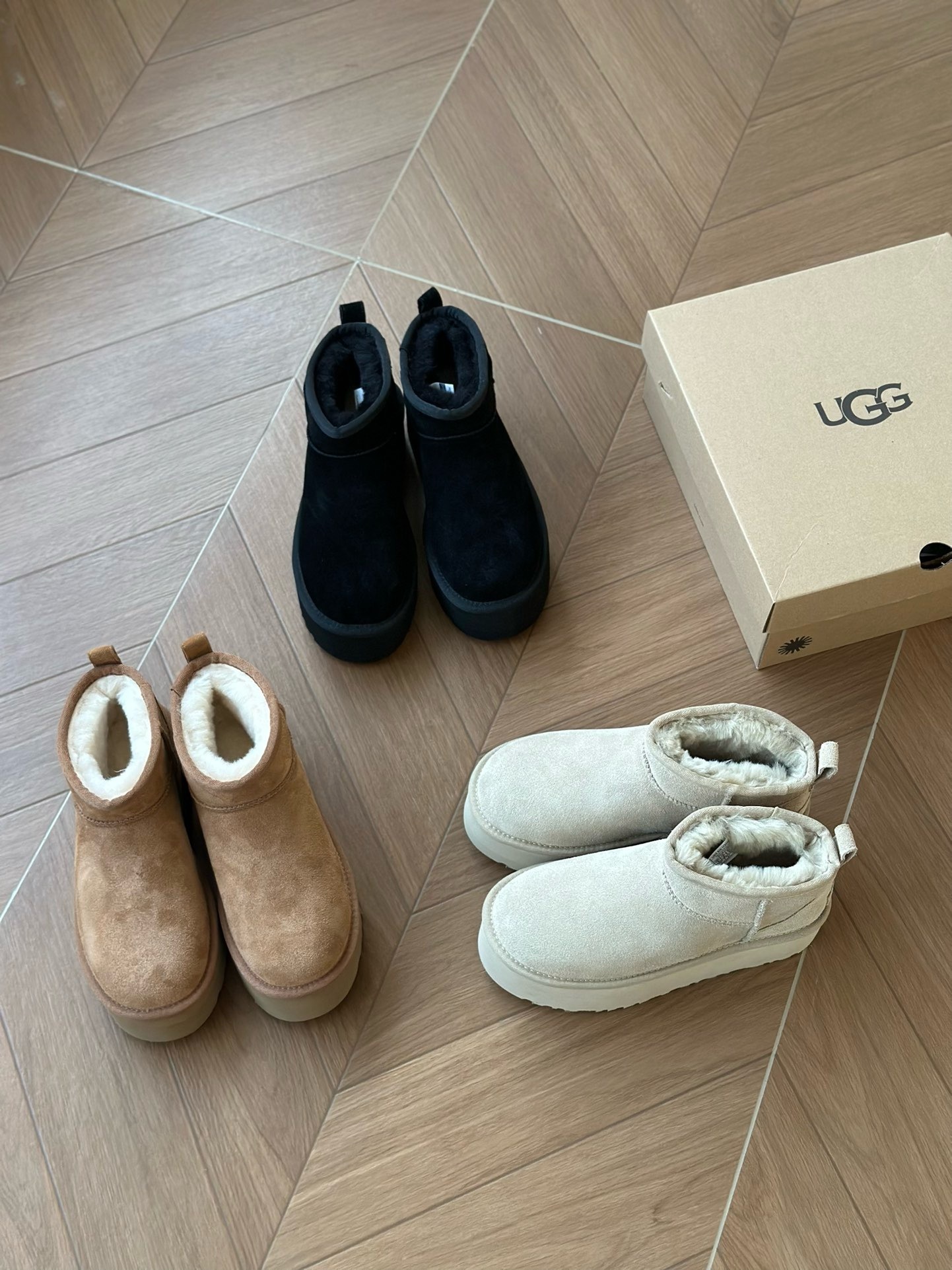 image_491FBFEF-AA64-48D0-8F3B-B5607FB25580_1764742447