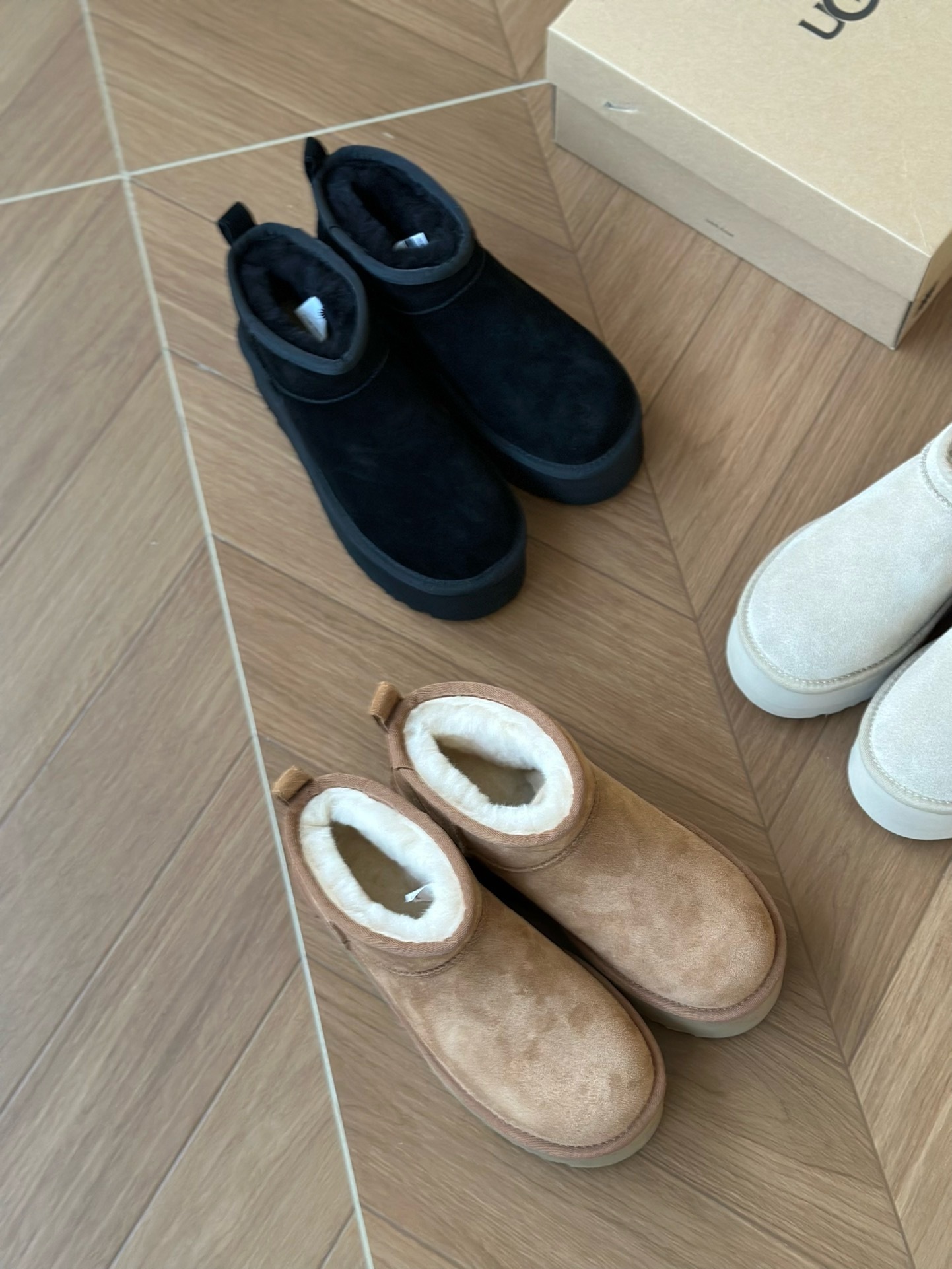 image_1C7A9979-3F2D-48AF-9C0B-F074C6CE831C_1764742447