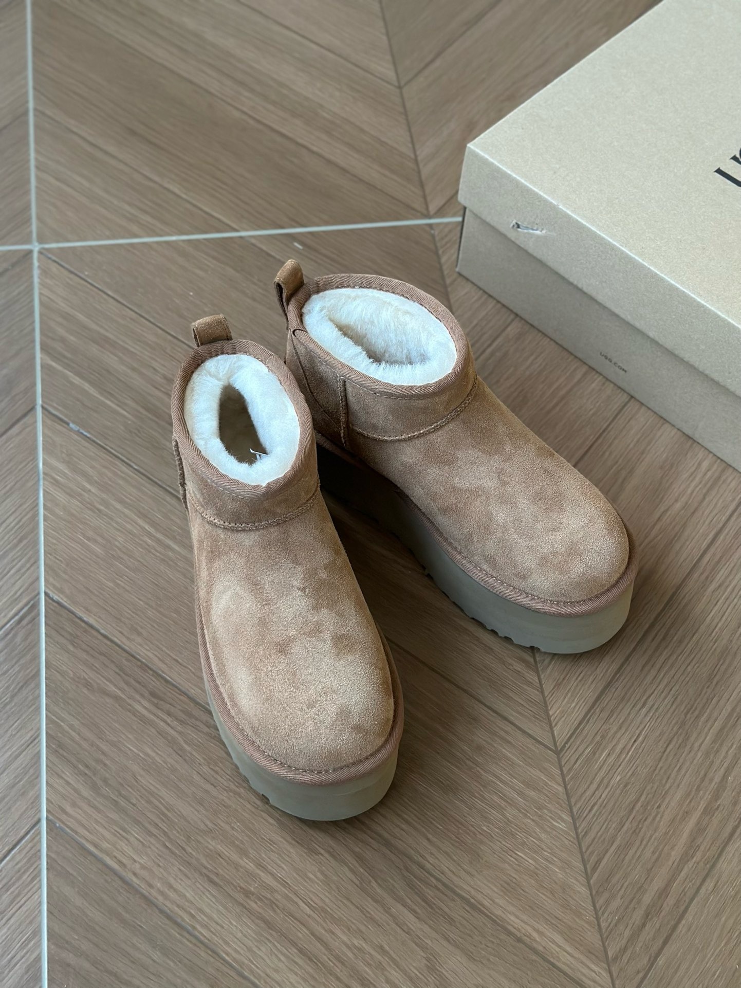 image_9CD1830B-BDC8-4950-AD81-91C69B5C957F_1764742447