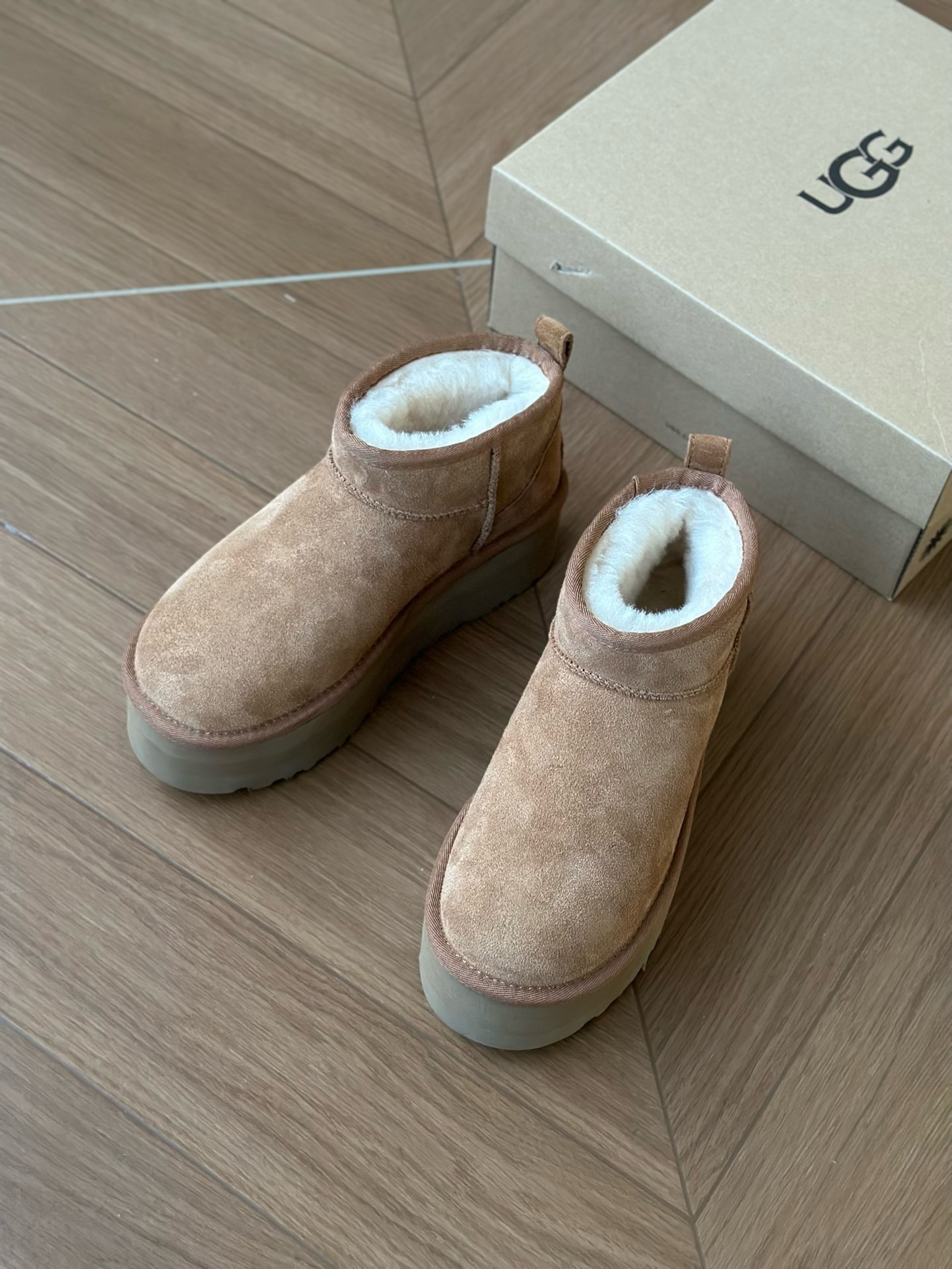 image_55743714-00A7-4FFC-8ABF-BD60BB43B0E0_1764742447