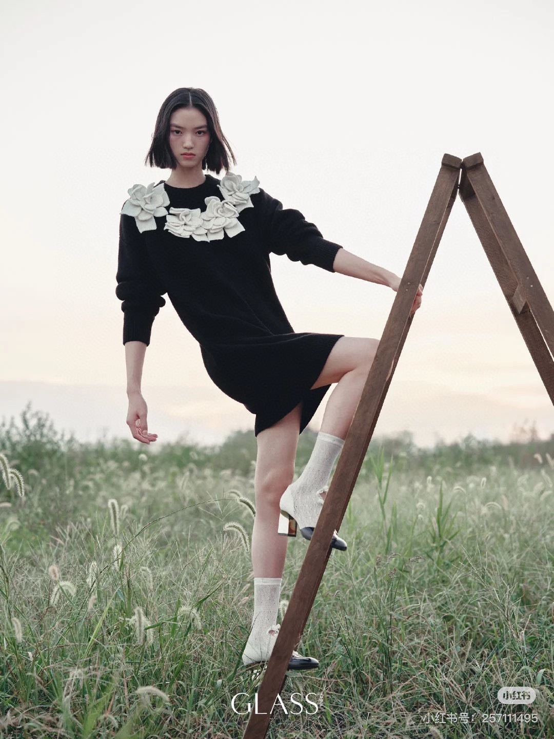 image_B4F907D5-6A66-4058-9B24-2A9580957B35_1765516070