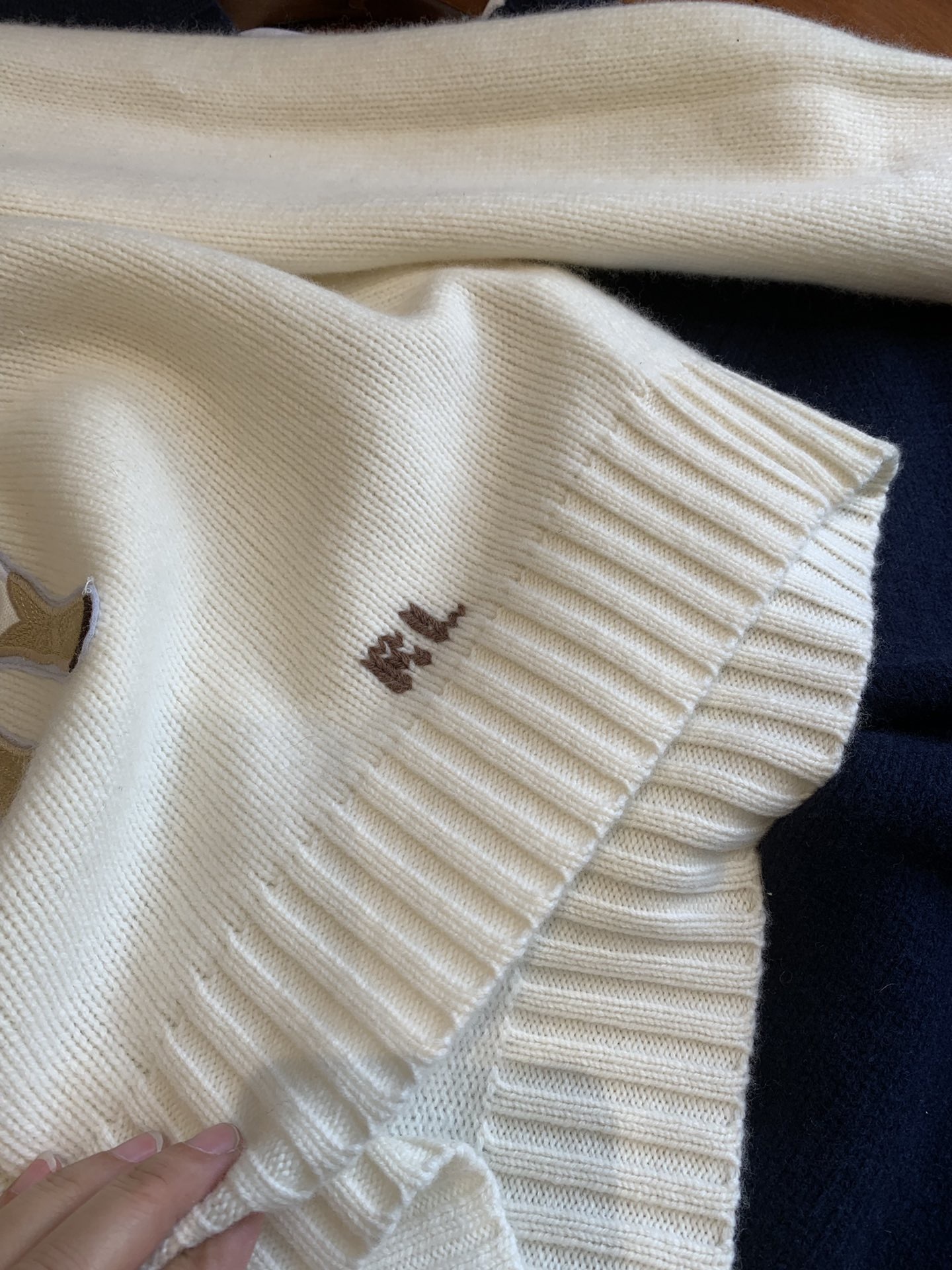 image_89B5A58C-4586-4957-9AB0-5AAF322703DD_1766221319