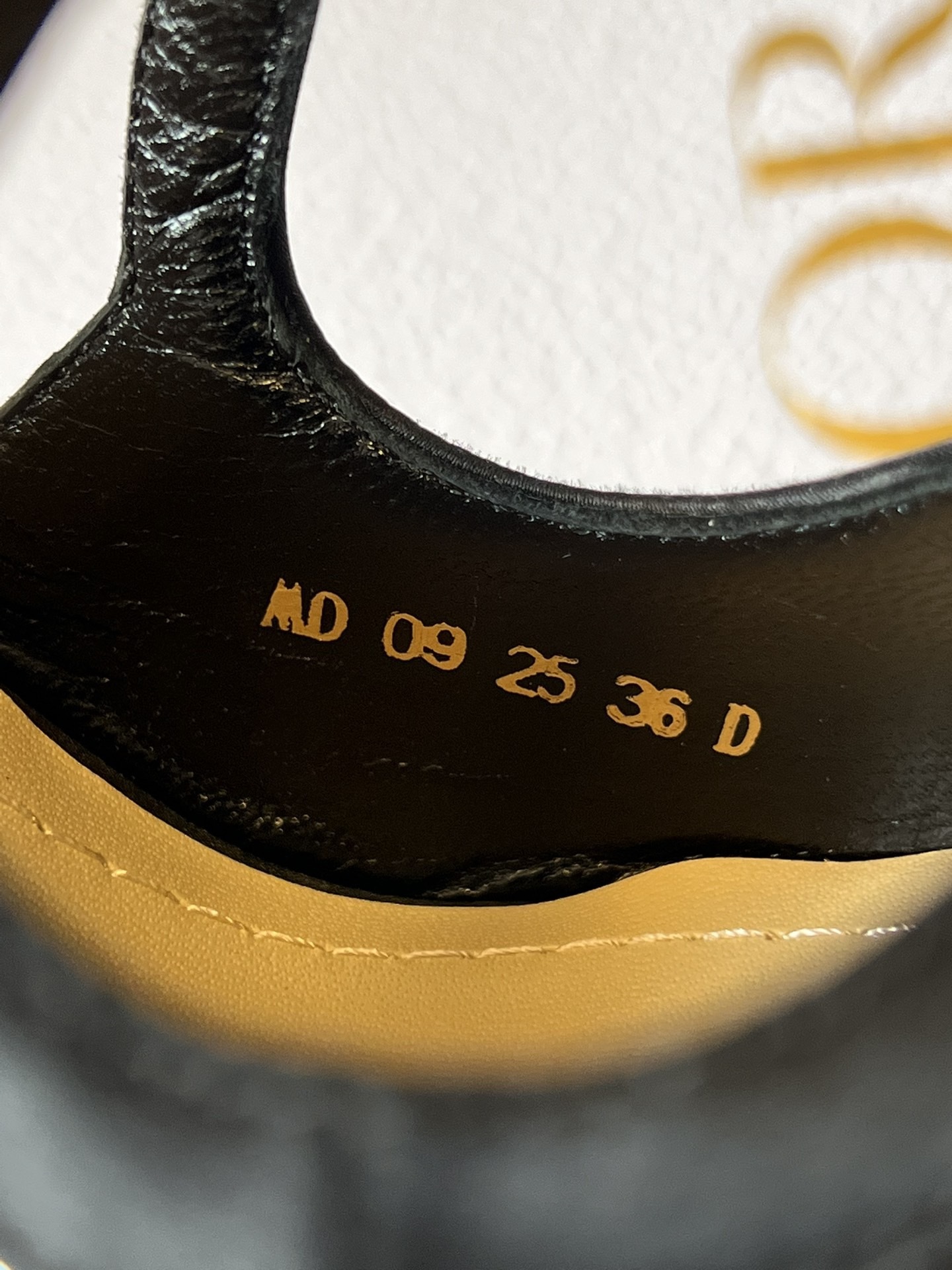 image_D1F796BE-11DA-4E7C-8679-DE8057AF373D_1766362527