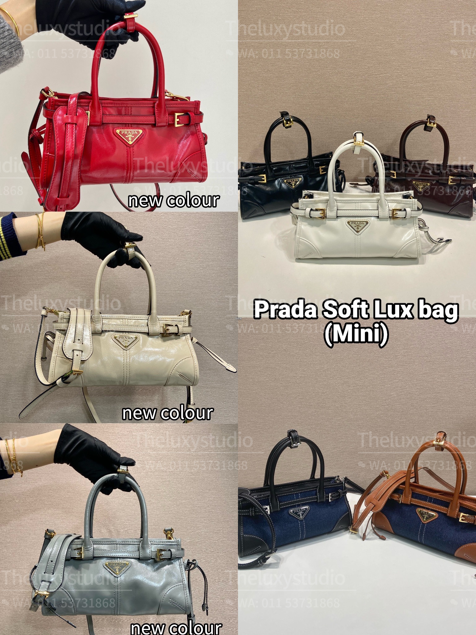 image_78055322-2455-4510-AF51-6DE92CF4AB14_1768485733