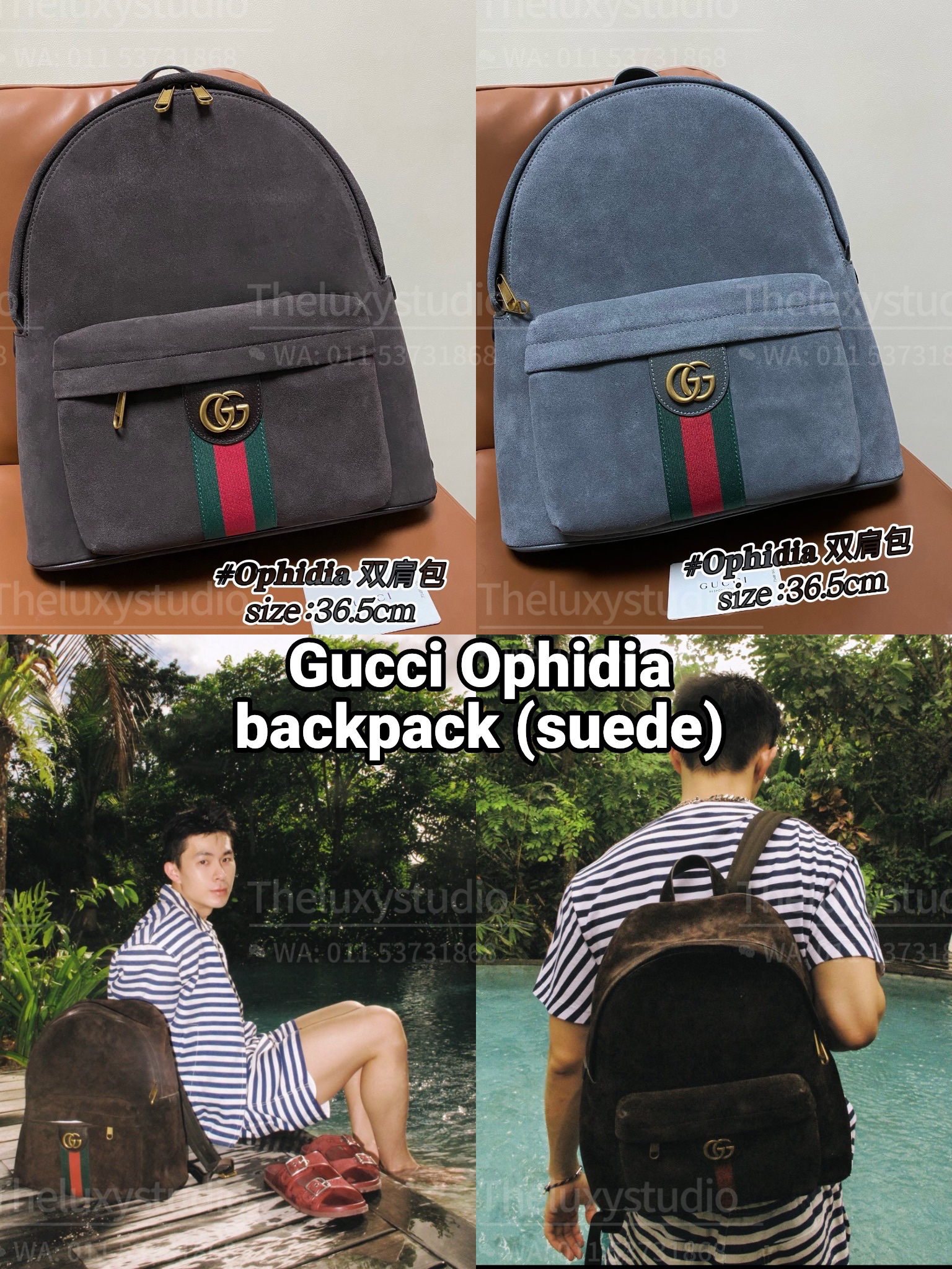 image_79E4A34E-CE35-4627-A300-76A27115009D_1768799933