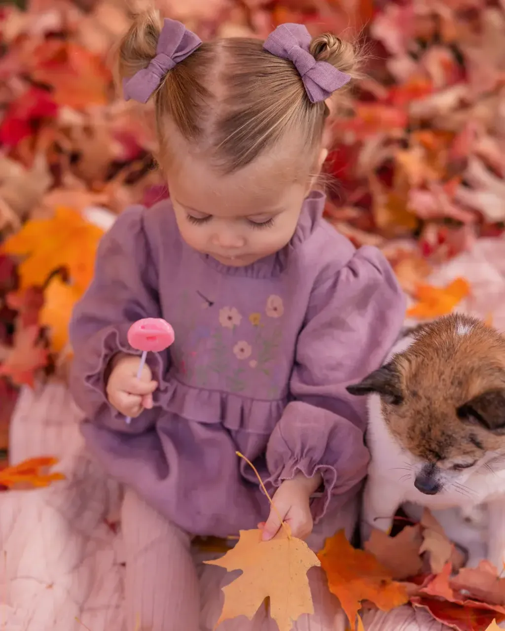 IMG_9144_f627c4e4-06a8-4ce8-a4bb-a19c9e11e5c5_1080x