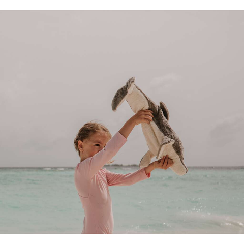 IMG_1731-1725537846323