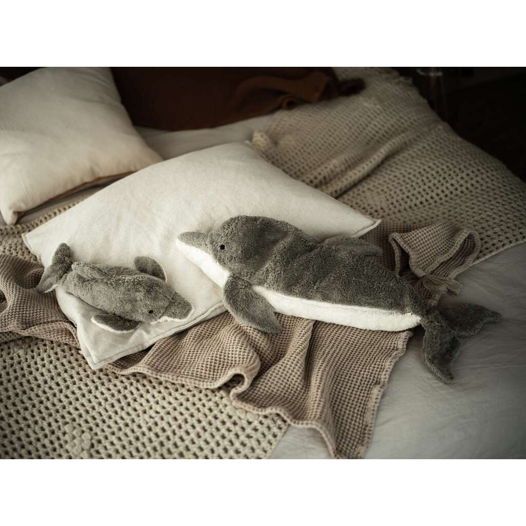 IMG_1735-1725537846340