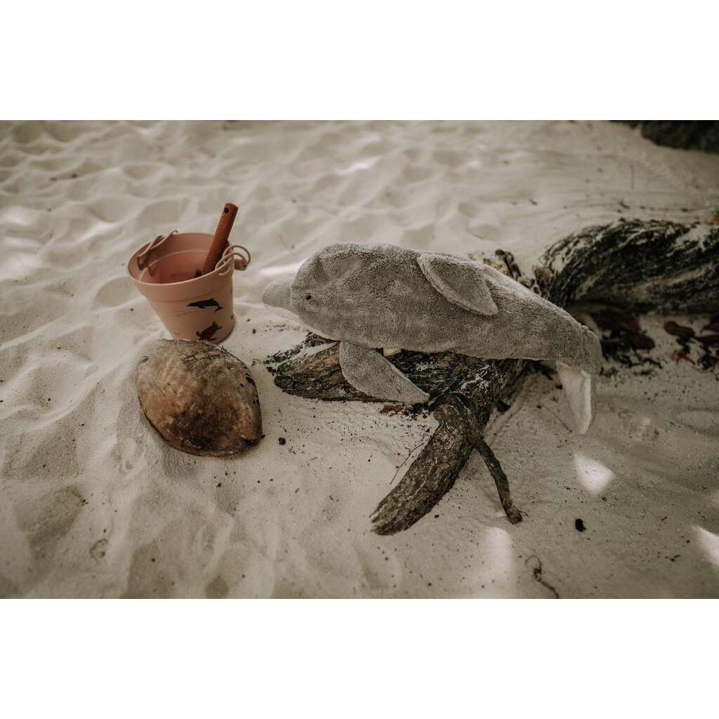 IMG_1732-1725537846346