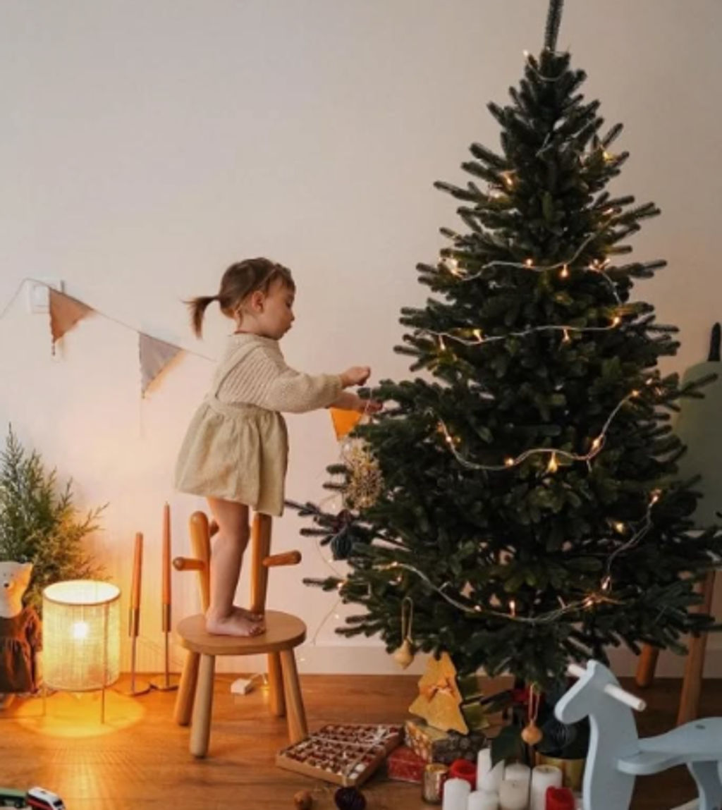 截圖 2025-10-24 下午2.14.56