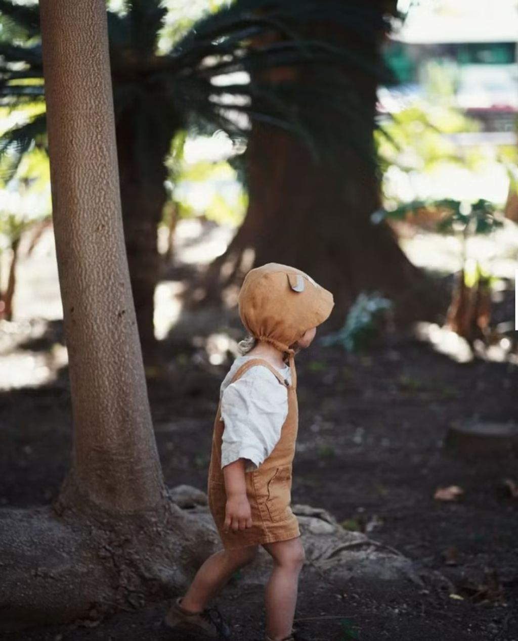 截圖 2025-11-05 晚上11.48.41