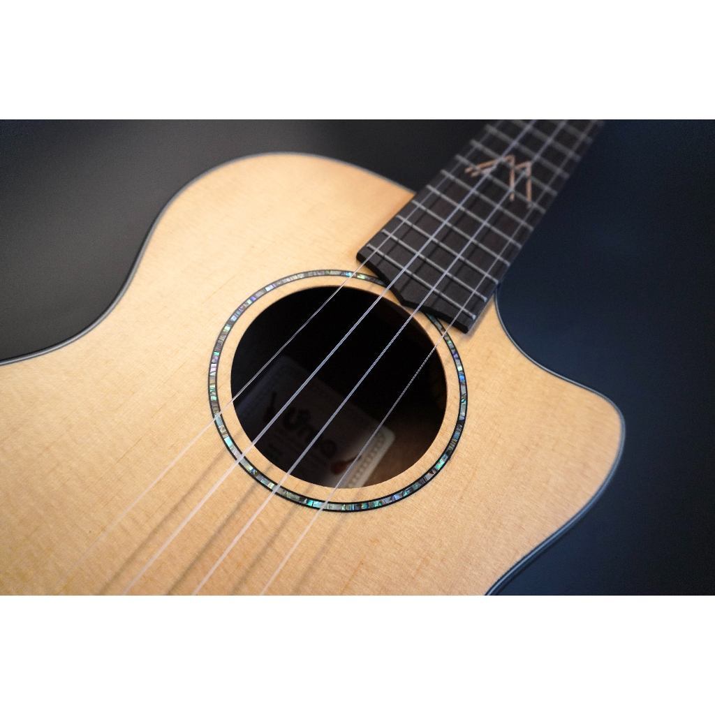 tw-11134207-7r98s-luloc75205orf1