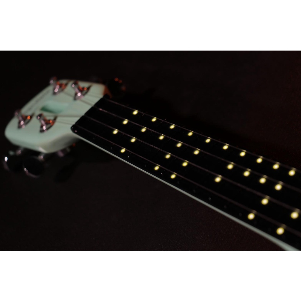 6992195b731fda7058cb77d61b469063