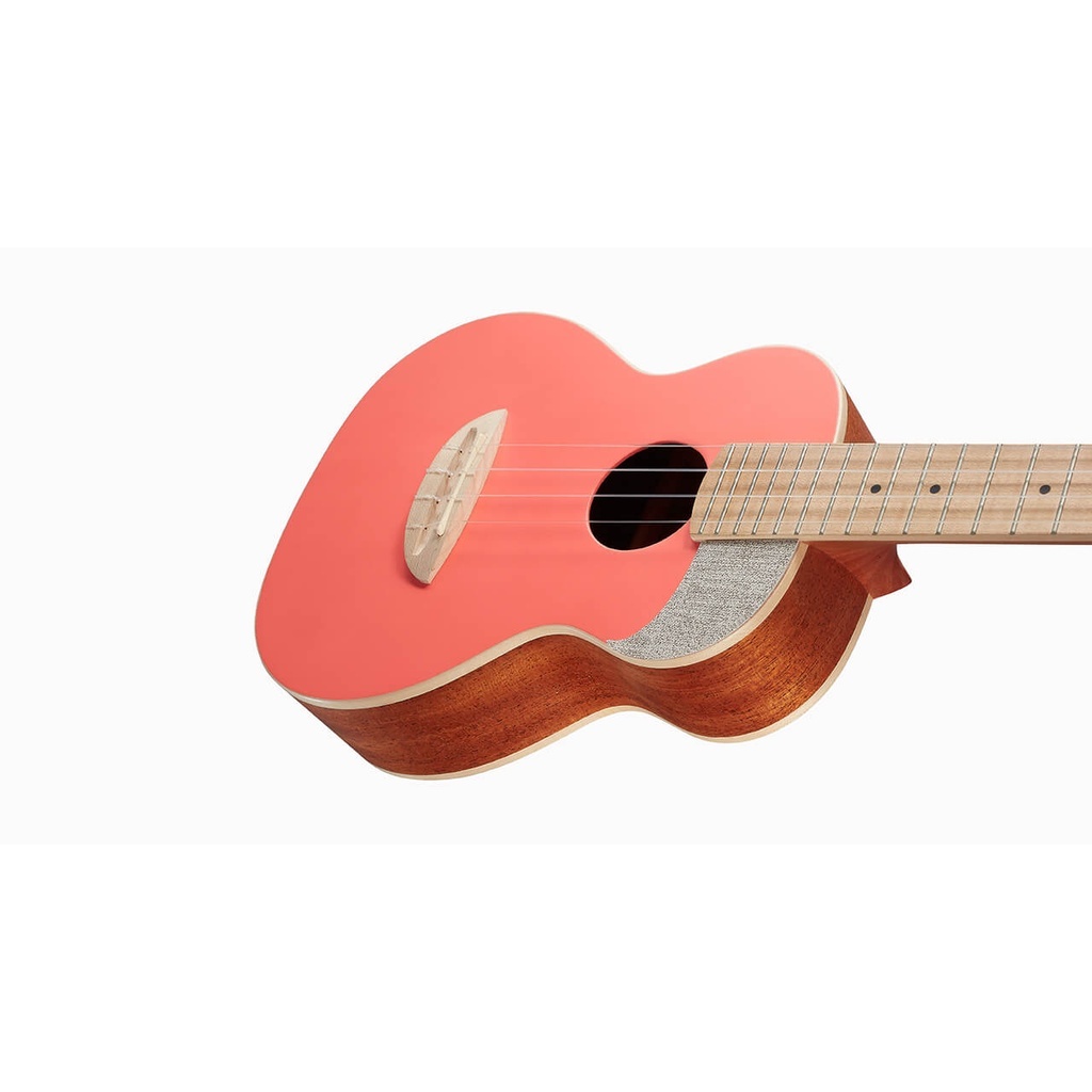 240d6020976e92d51ff29c4087ee9cf1