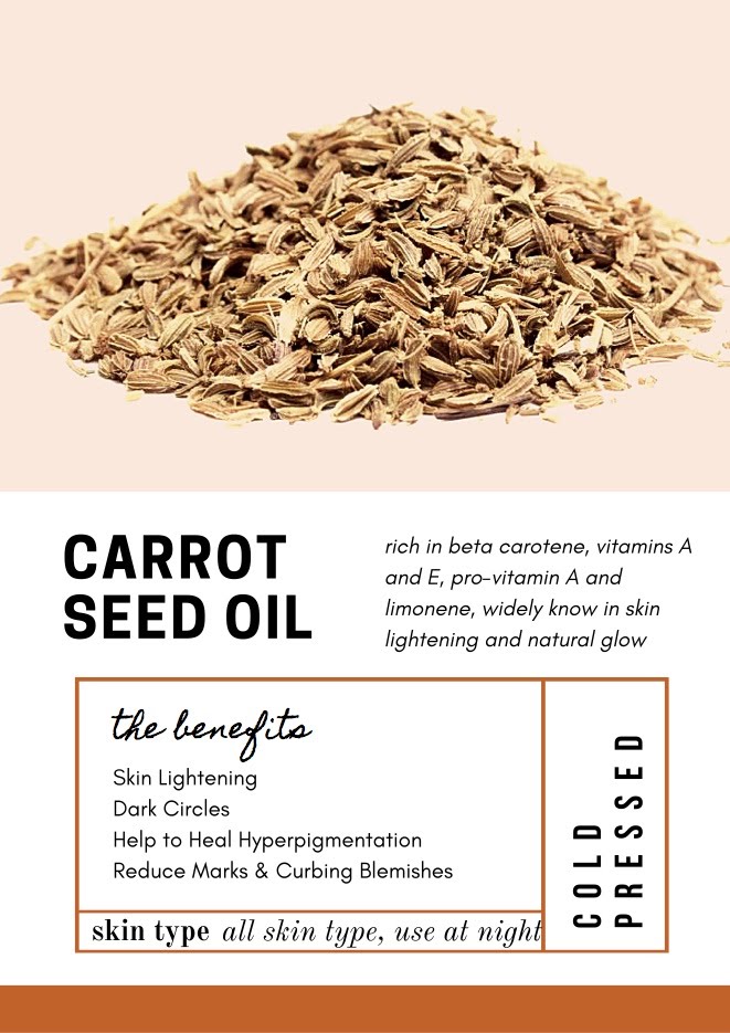 Carrot Seed Oil.jpeg