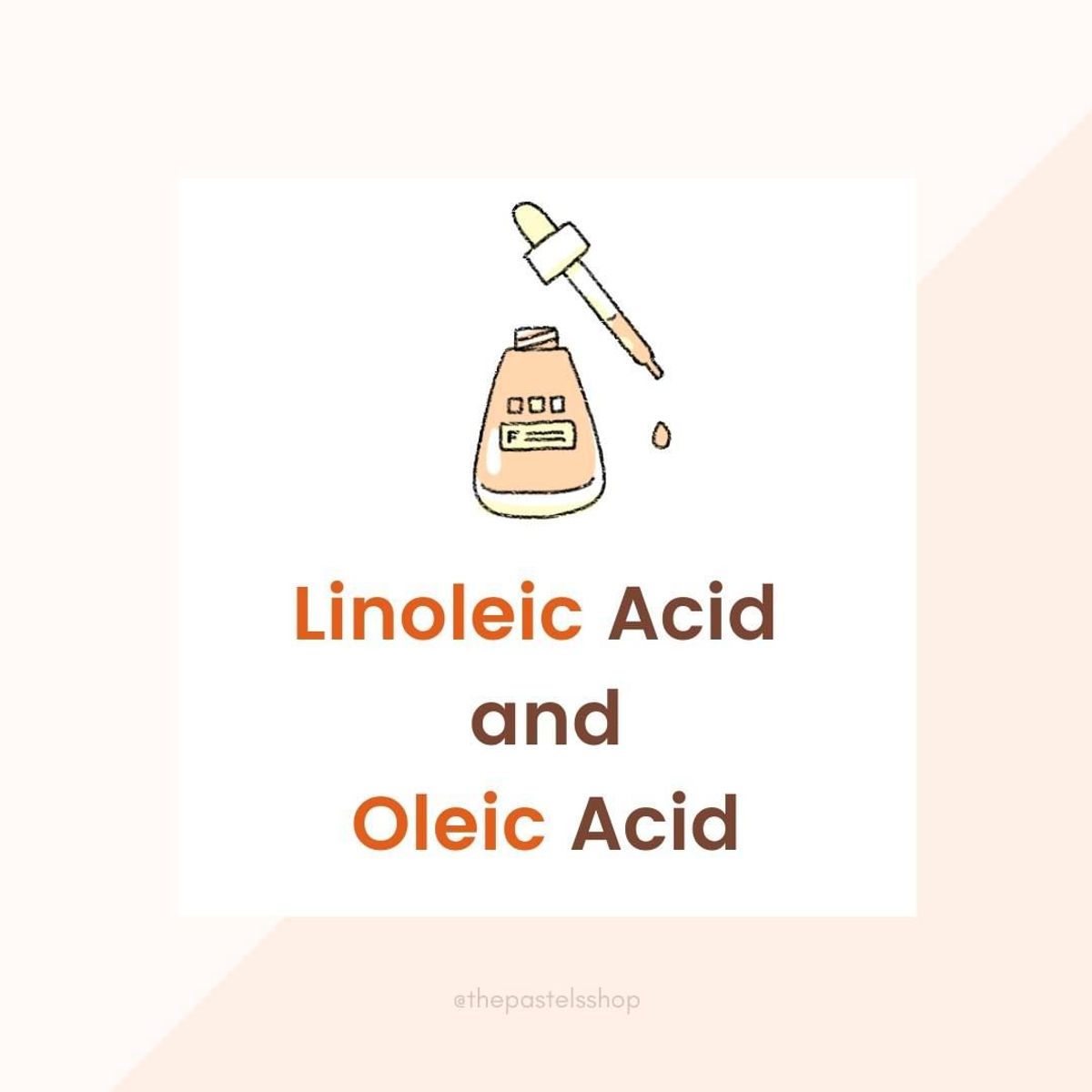 What is Linoleic Acid & Oleic Acid?