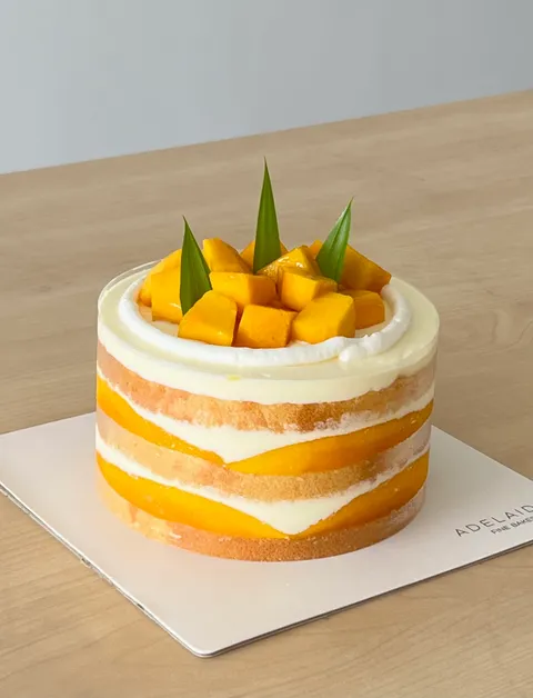 Mango Coconut Front Shot